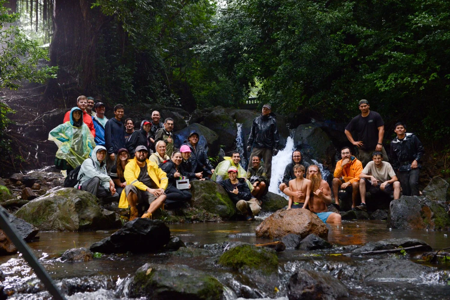 Cast & Crew