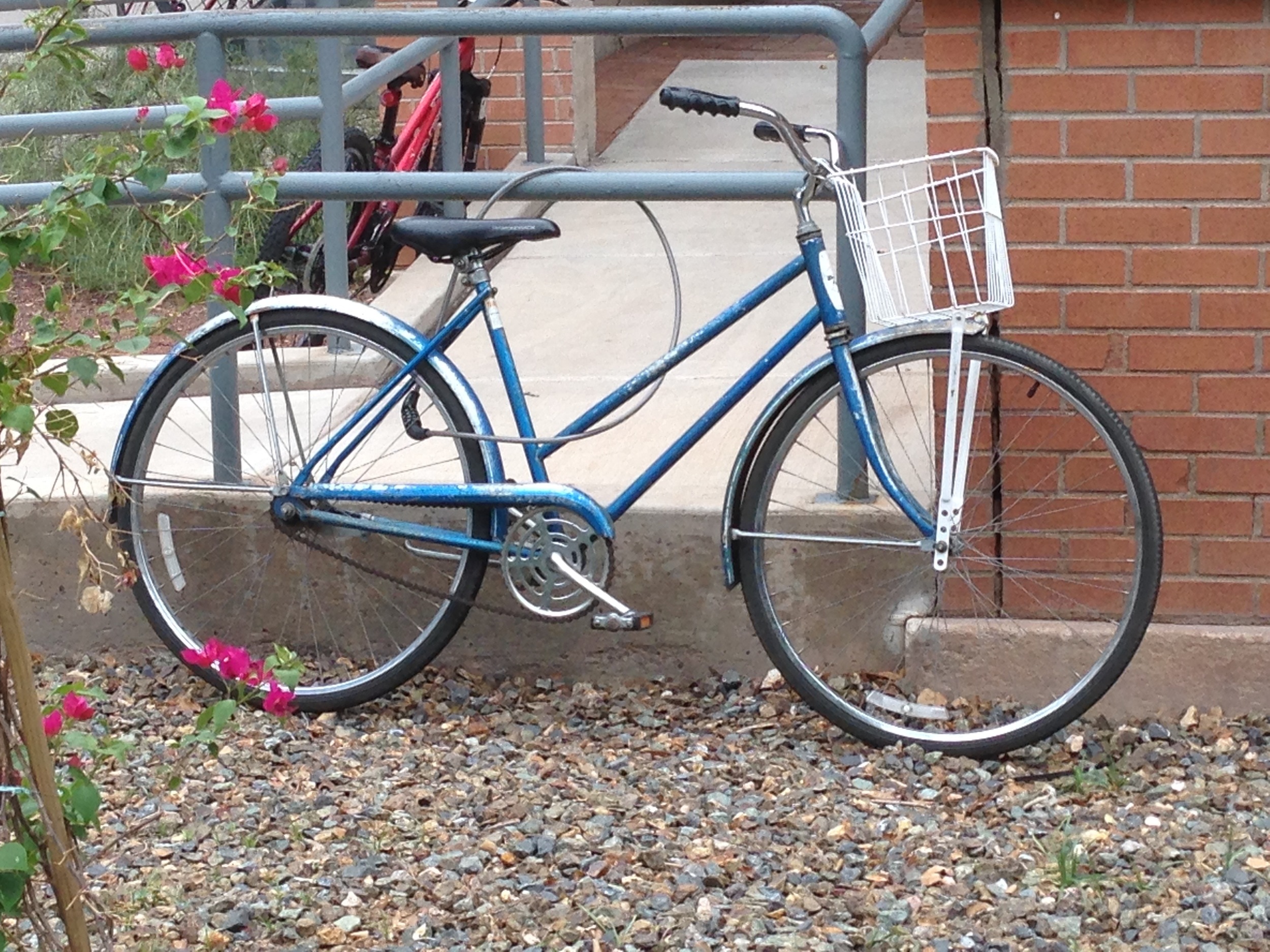  I saw this bike on my way to class one day. I might have to draw a bike sometime. Aren't they fun? 