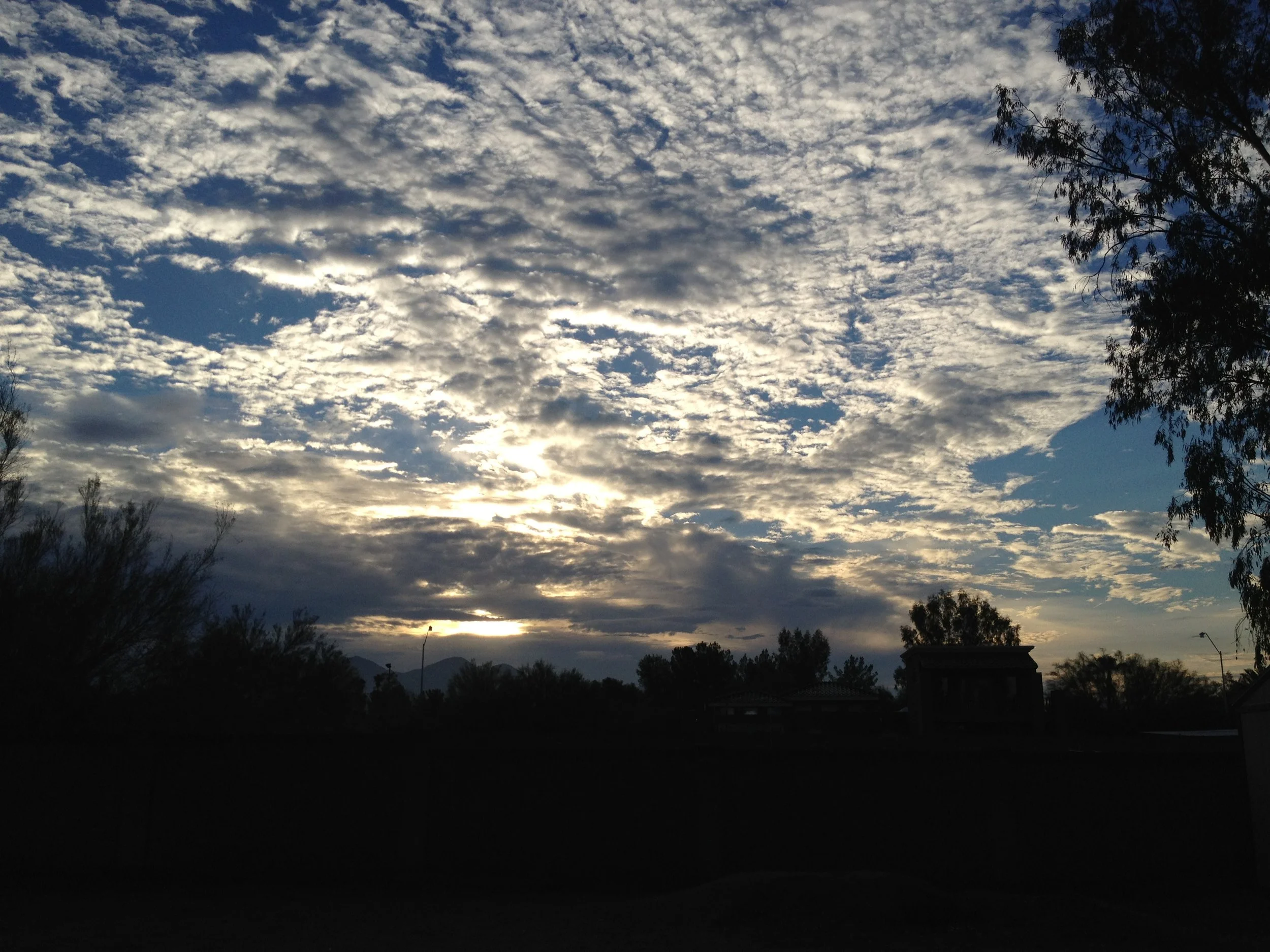 Desert Rain - a picture post