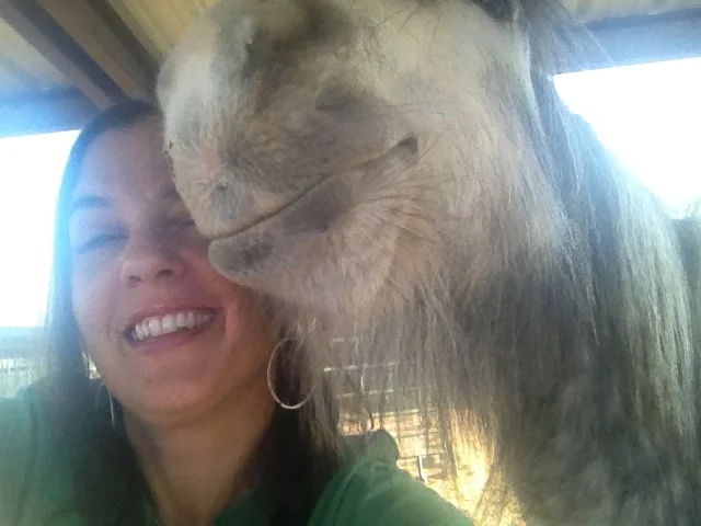 Self Portrait, With Horse