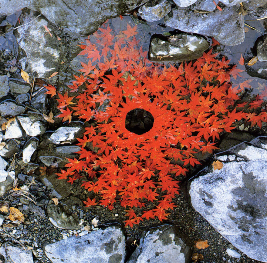 land-art-andy-goldsworthy-610.jpg