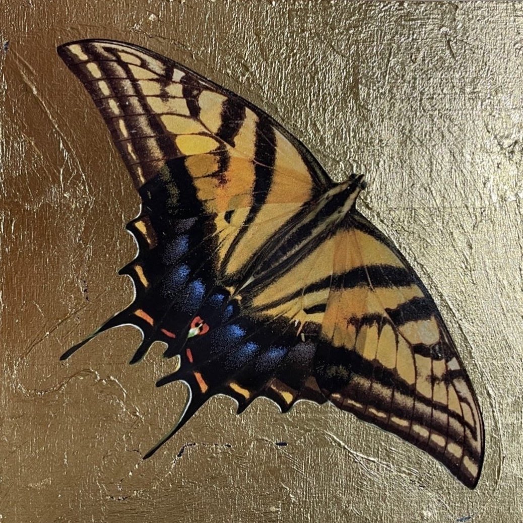 Butterfly (SOLD)