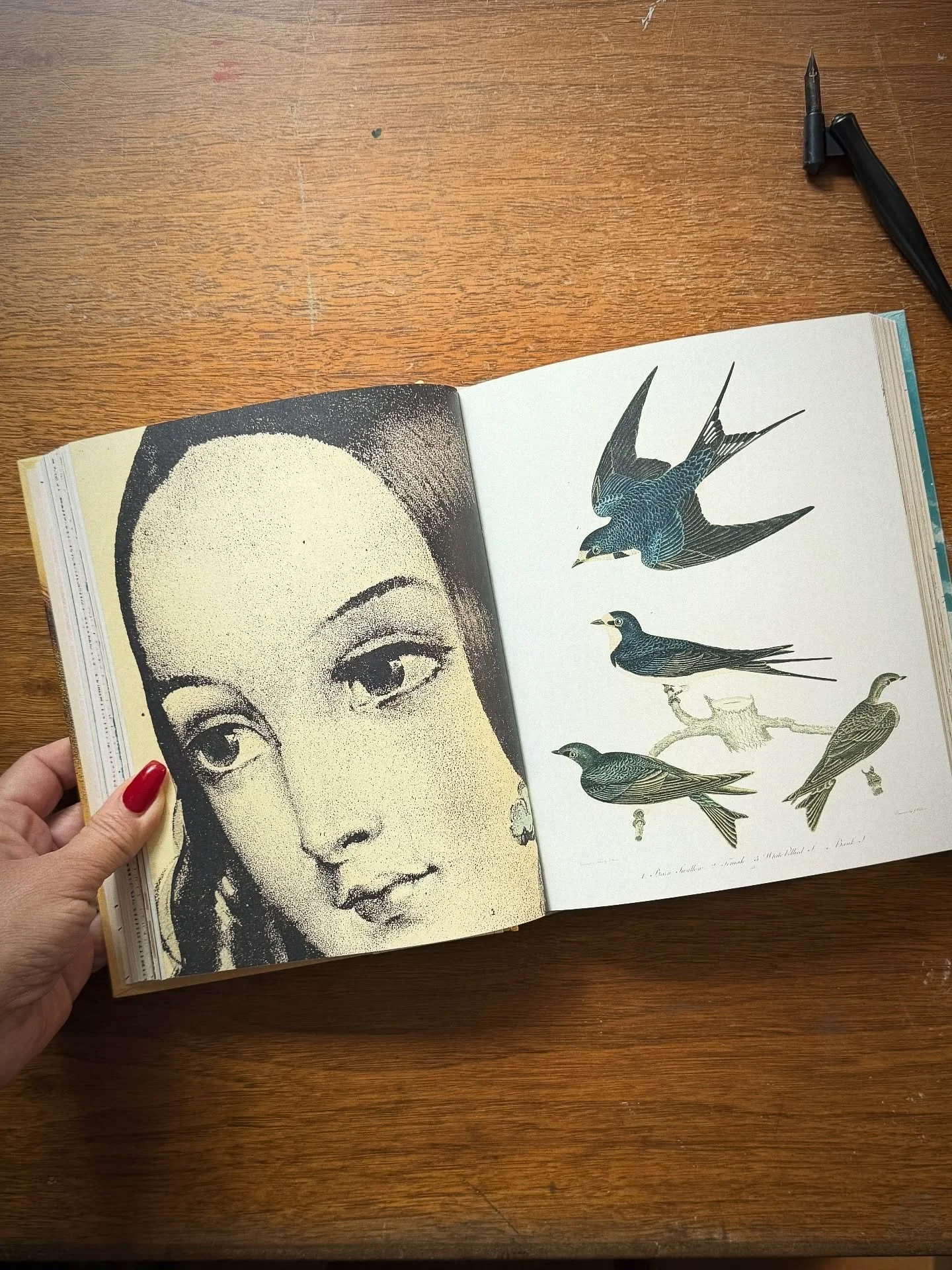 What a beautiful gift. 
The John Derian Sticker Book 
Thank you @kirstenkayhorchler ✨ 
#curated #gifting