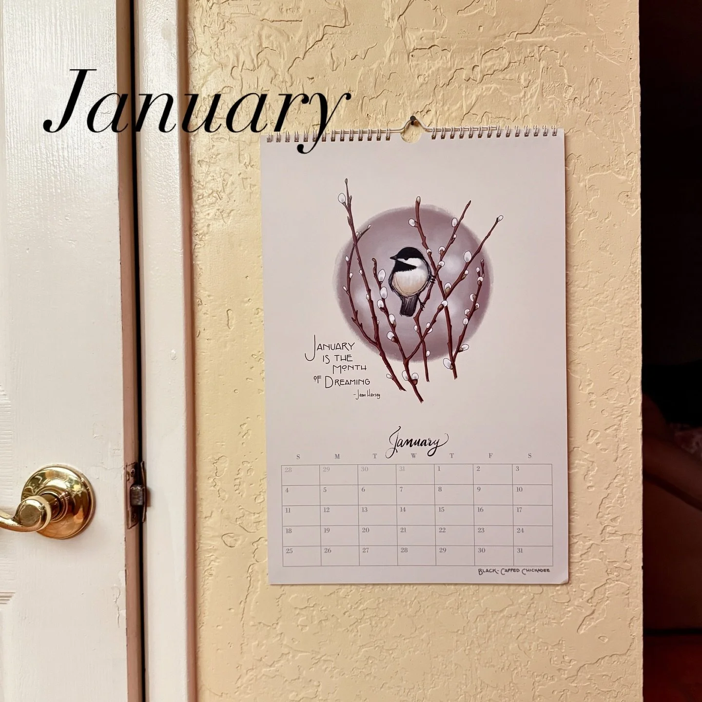 January ❄️ 
Black-capped Chickadee 🐦&zwj;⬛
#birdcalendar #2026calendar #chickadees #birdsofnorthamerica #etsyartists