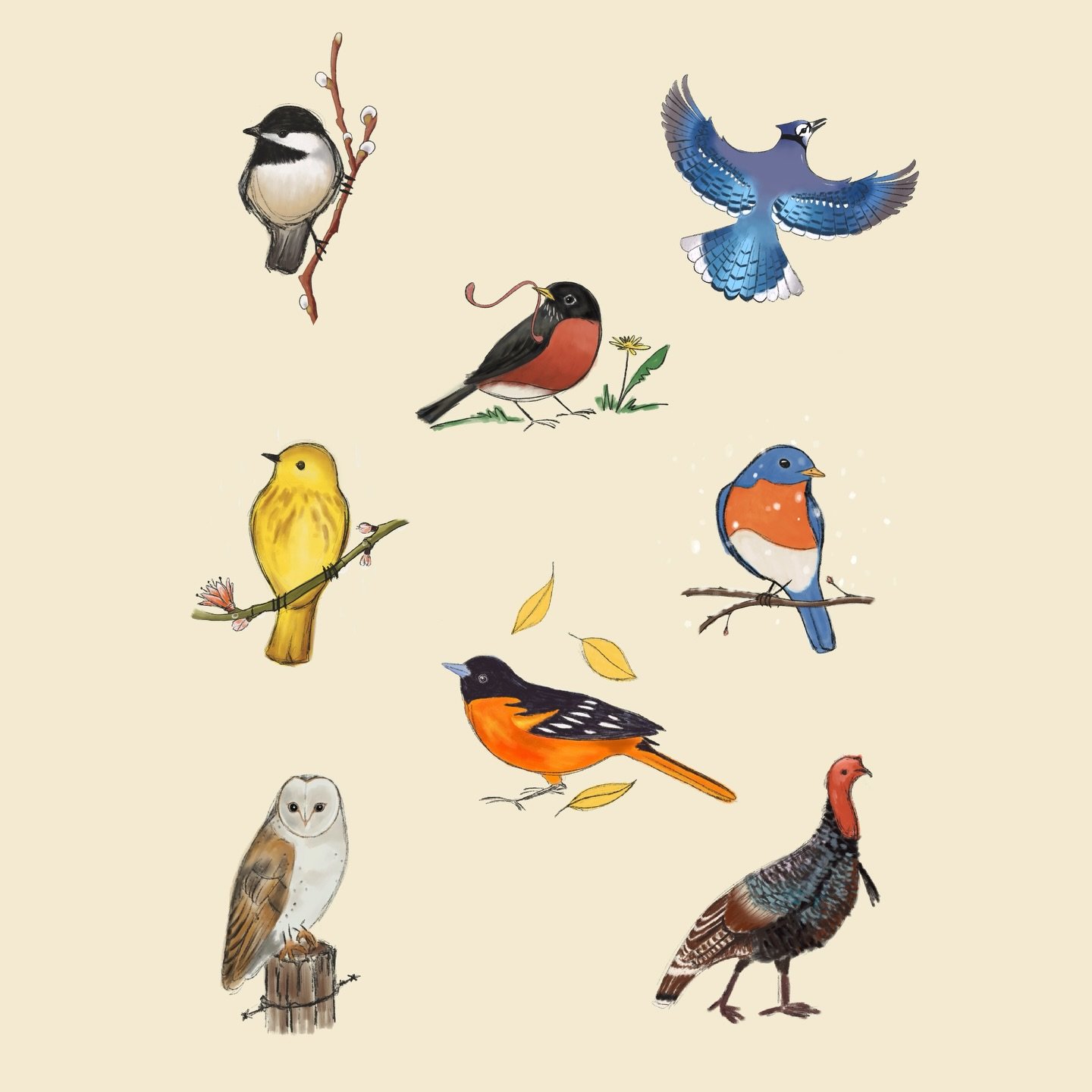 My birds are going to be a repeat pattern. This is the fun part of surface design, taking something you made, and seeing what else you can make with it!
#birdcalendar #birdsofnorthamerica #surfacedesign