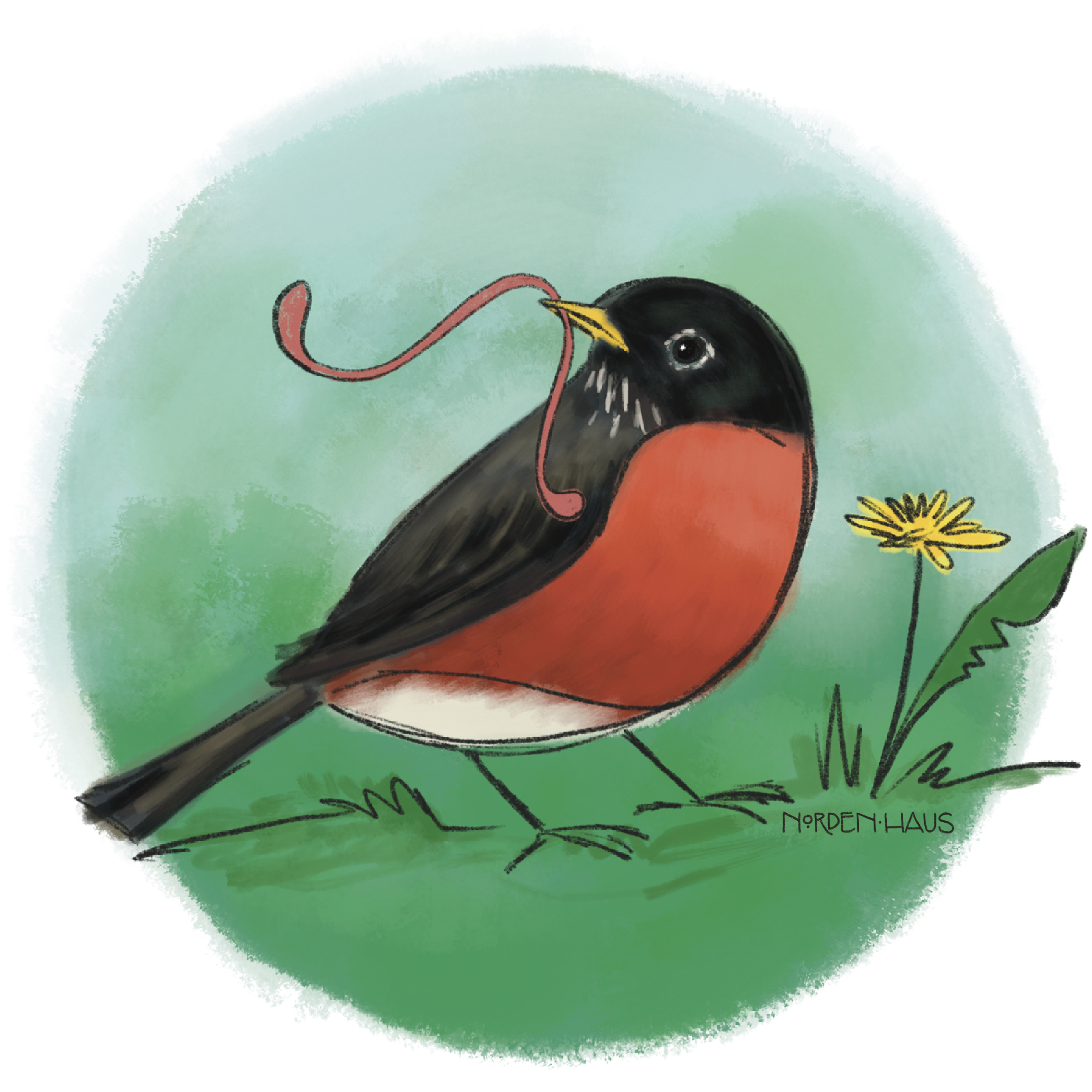 The Bird Calendar & Collection