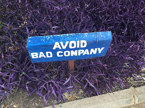 Good advice abounds.
