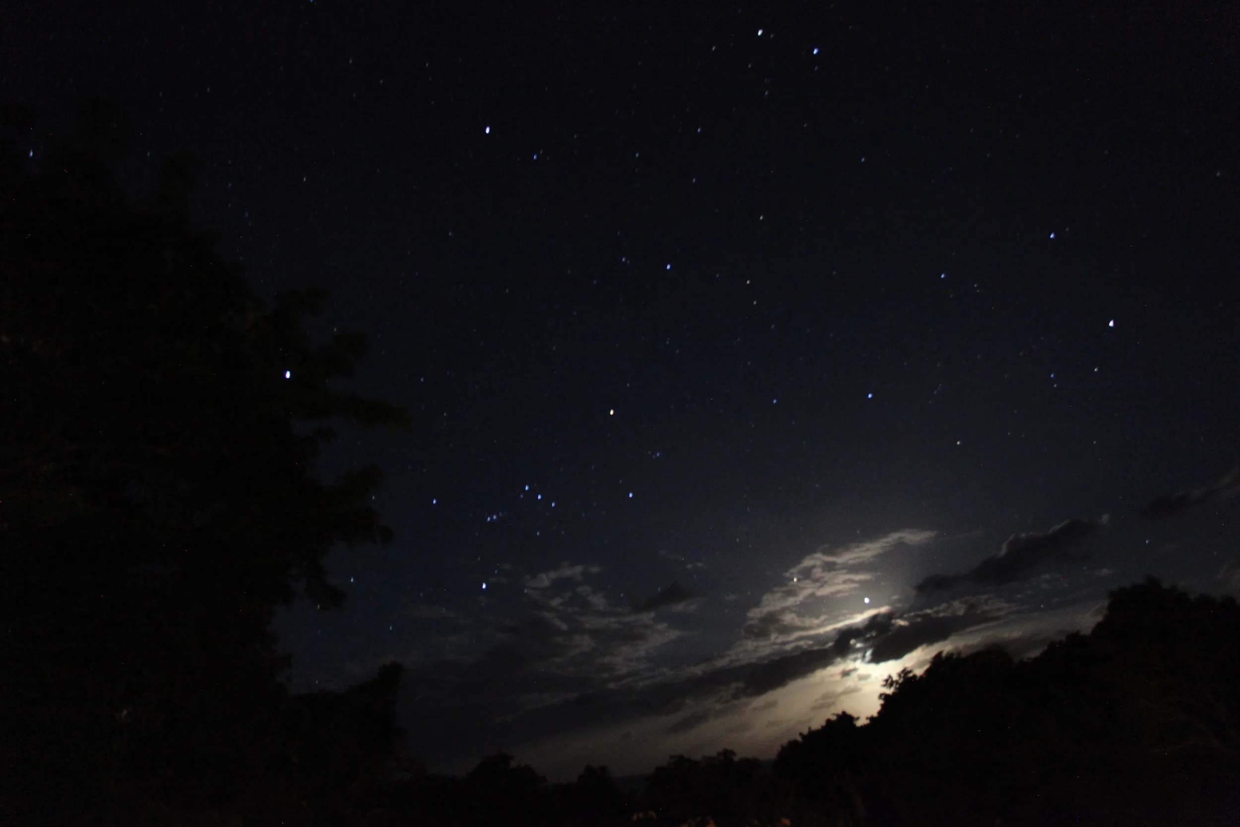 starry sky, roatan, honduras