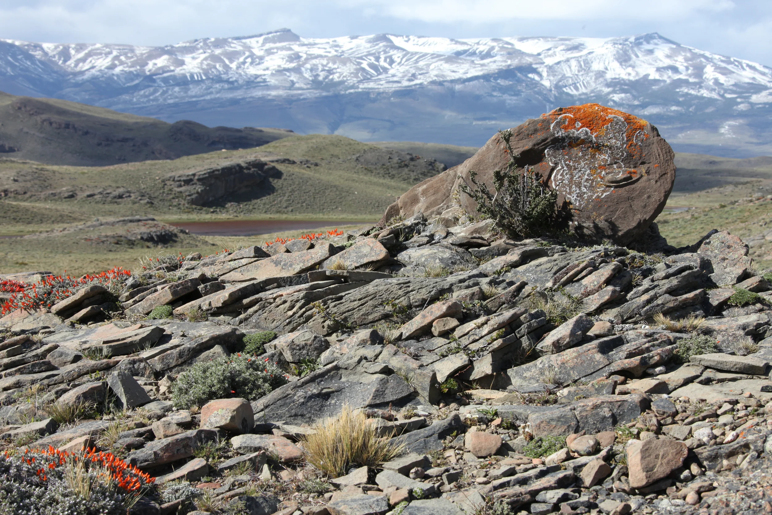 nature's graffiti, torres del paine national park, chile