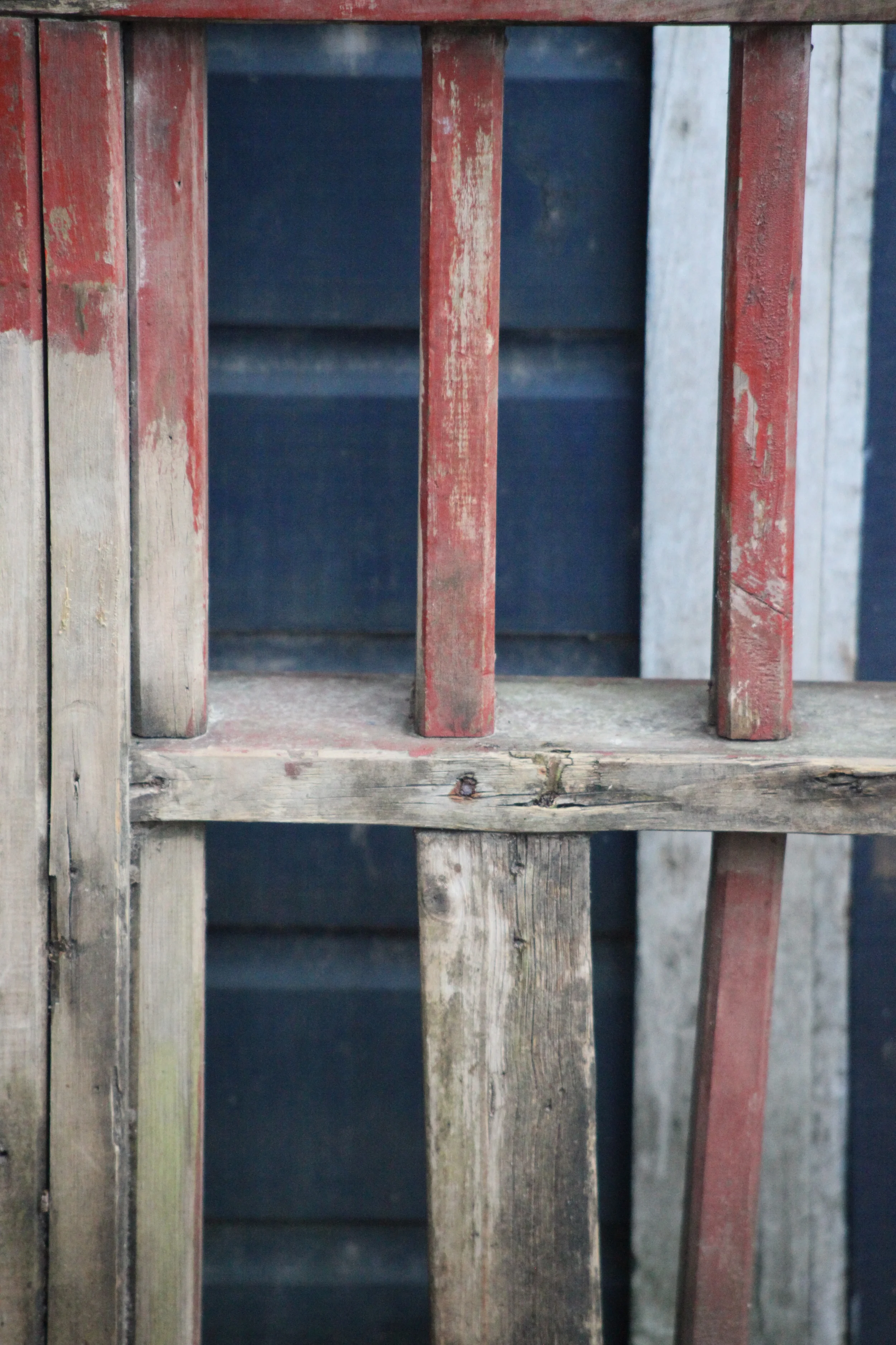 red, white, and blue, roatan, honduras