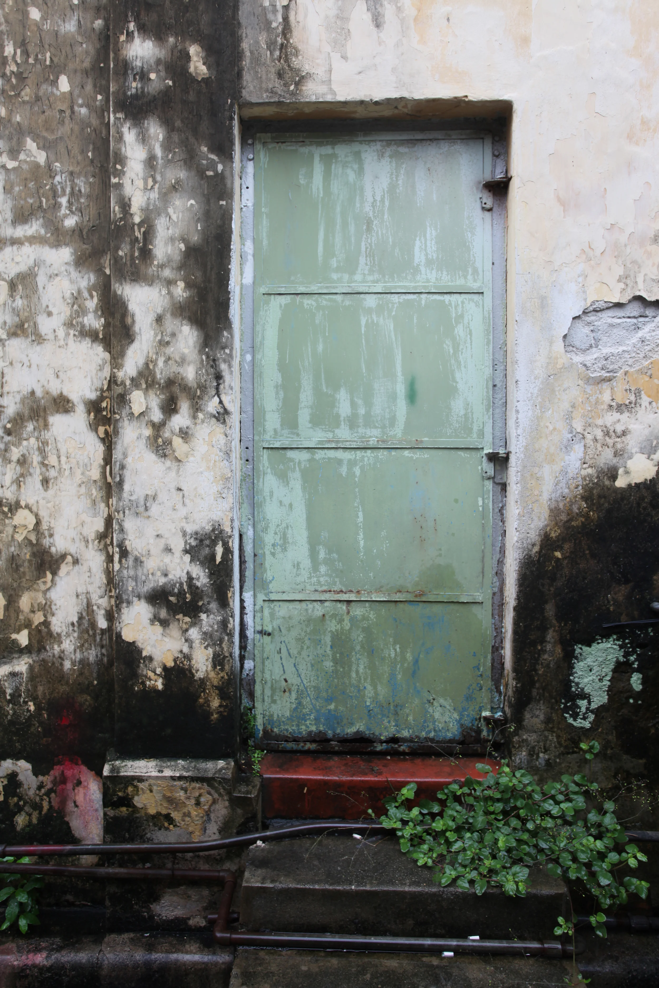 doorstep with greenery, georgetown, malaysia