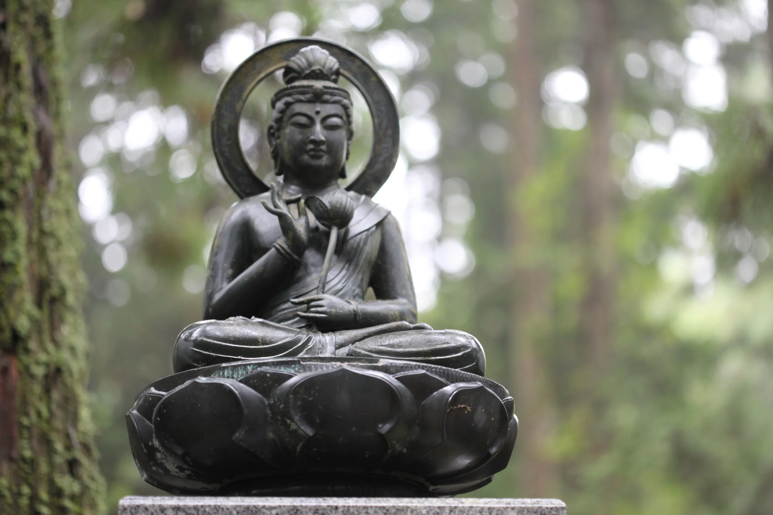 statue detail, koyasan, japan