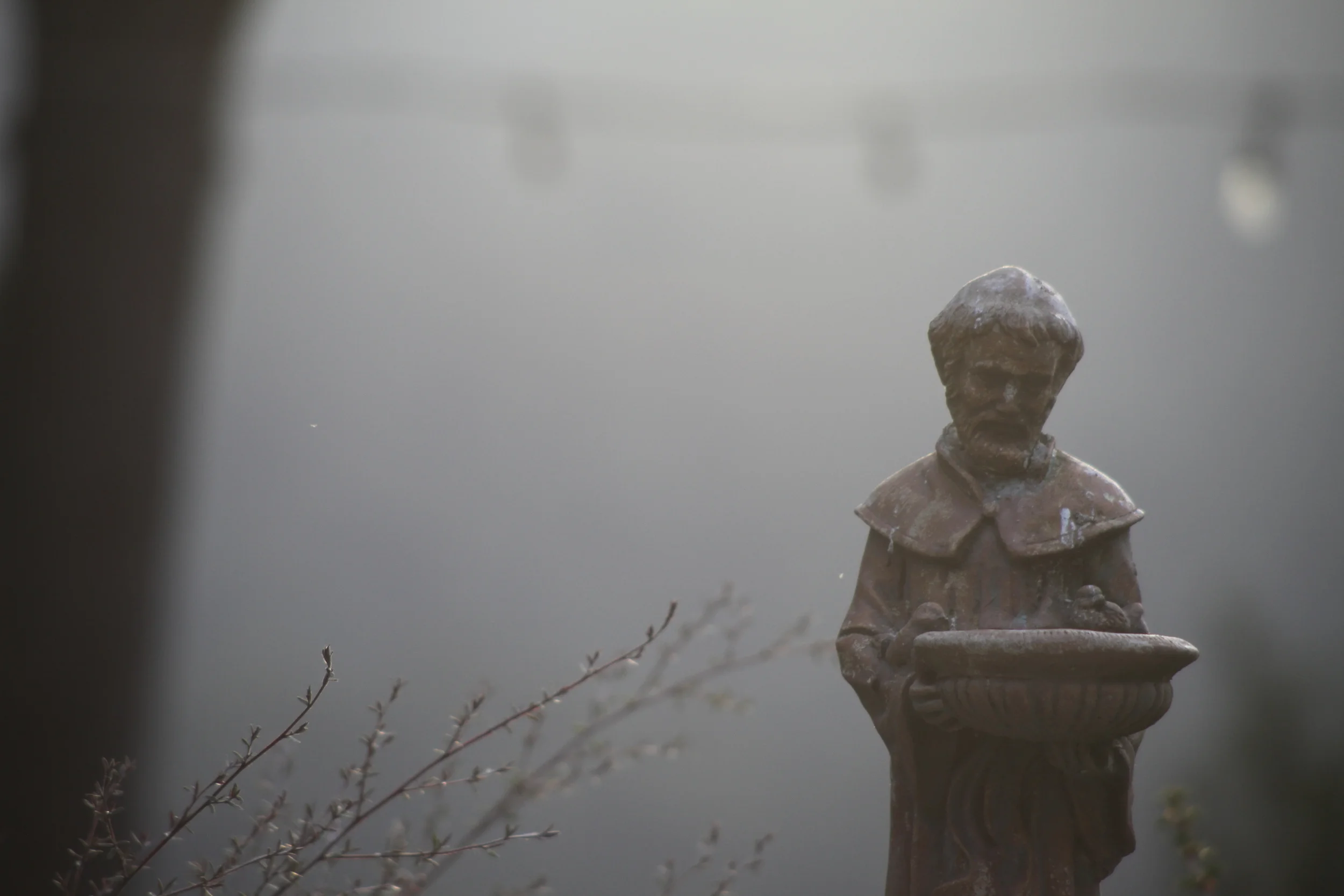 statue detail in the mist, santa cruz, california, usa