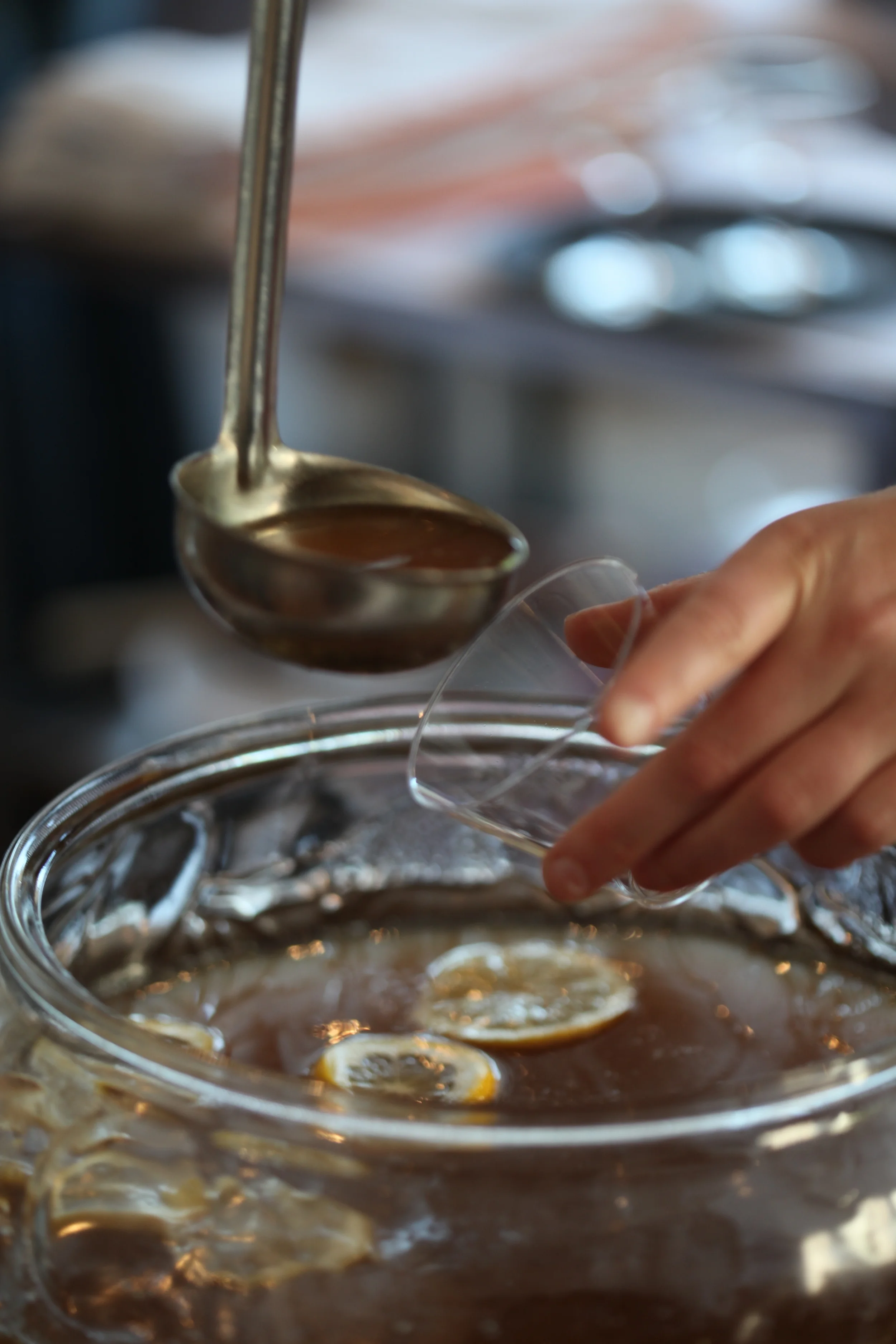 2015 feast launch party