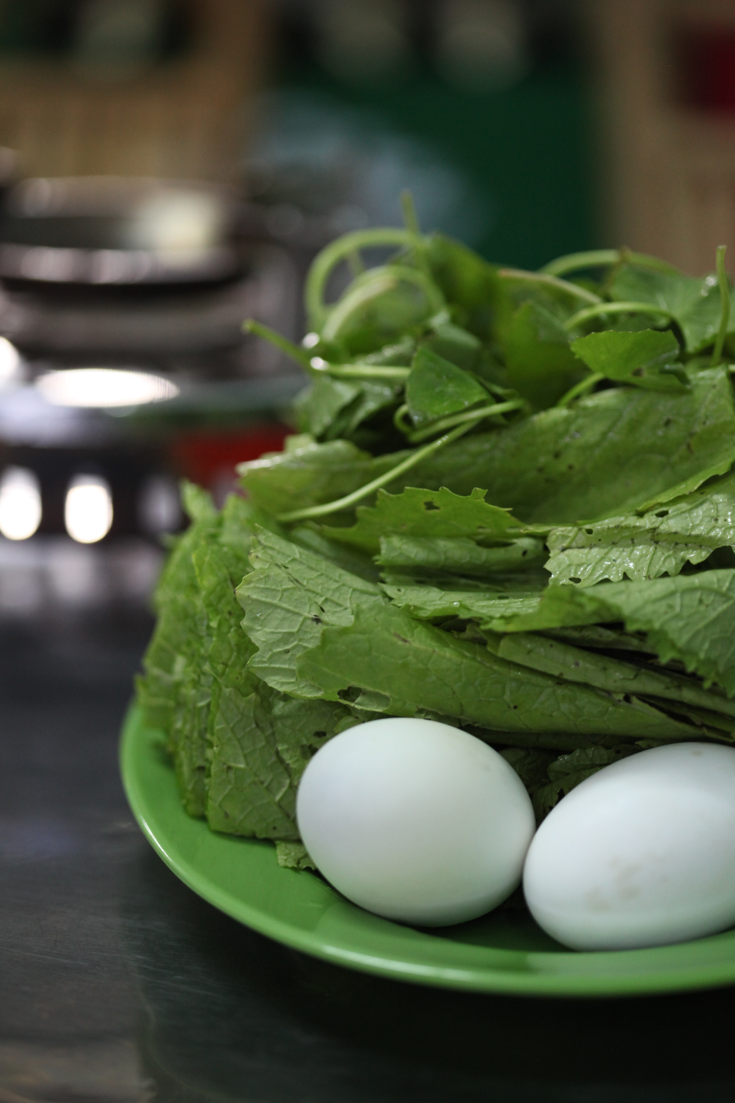 hot vit lon, vietnam