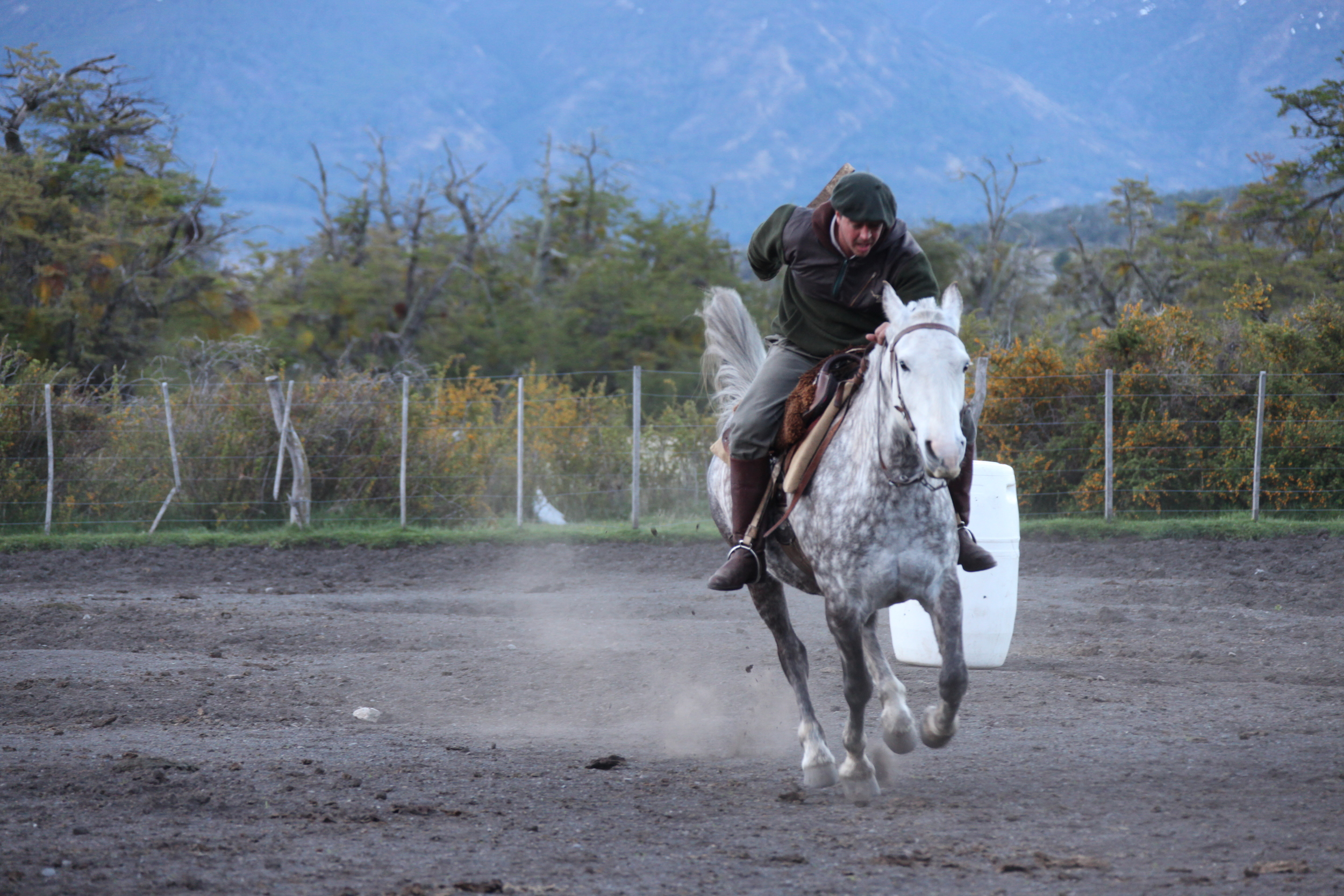 gaucho on horse, nabipo aike, argentina