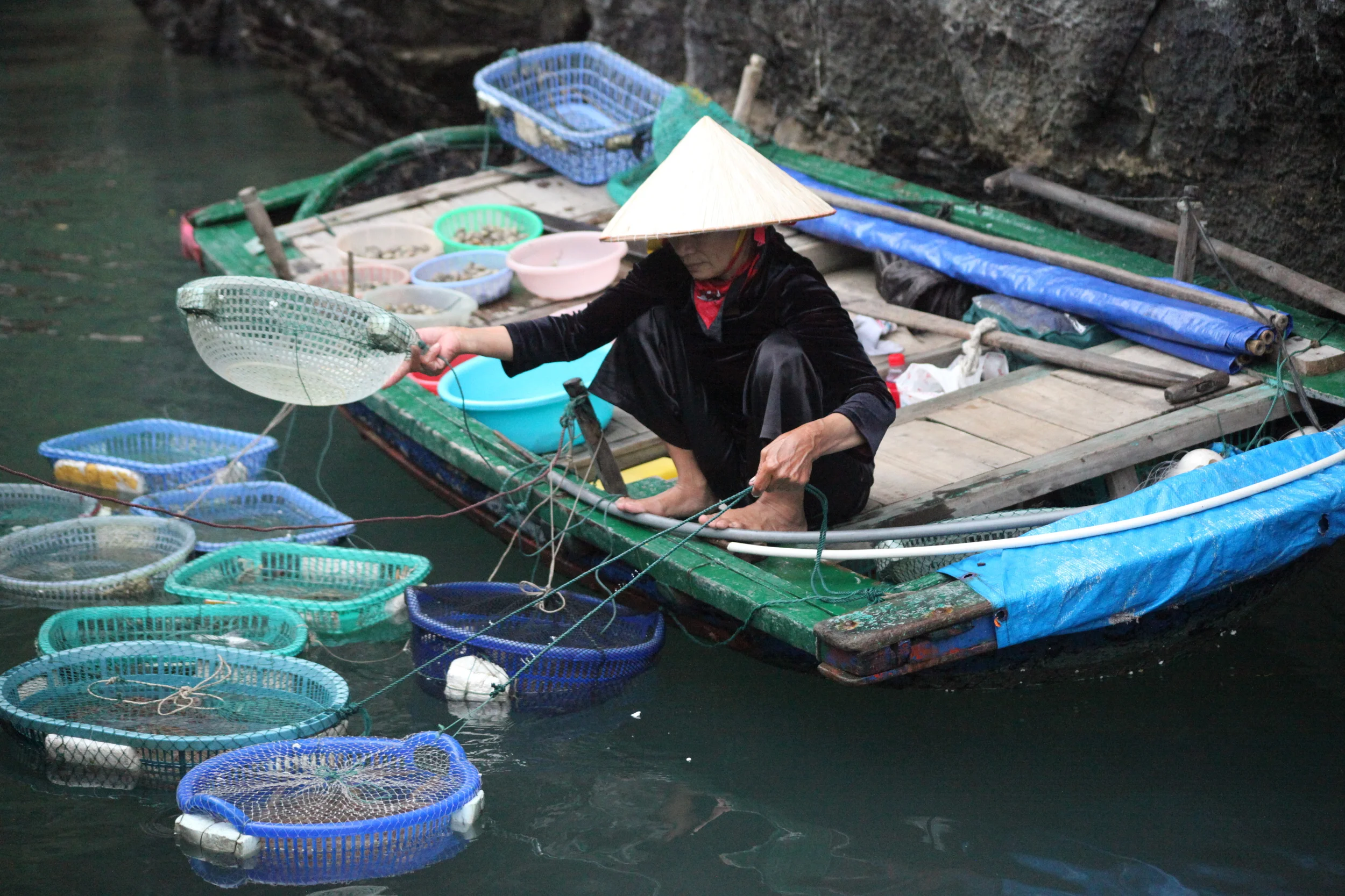 woman with shellfish, halong bay, vietnam