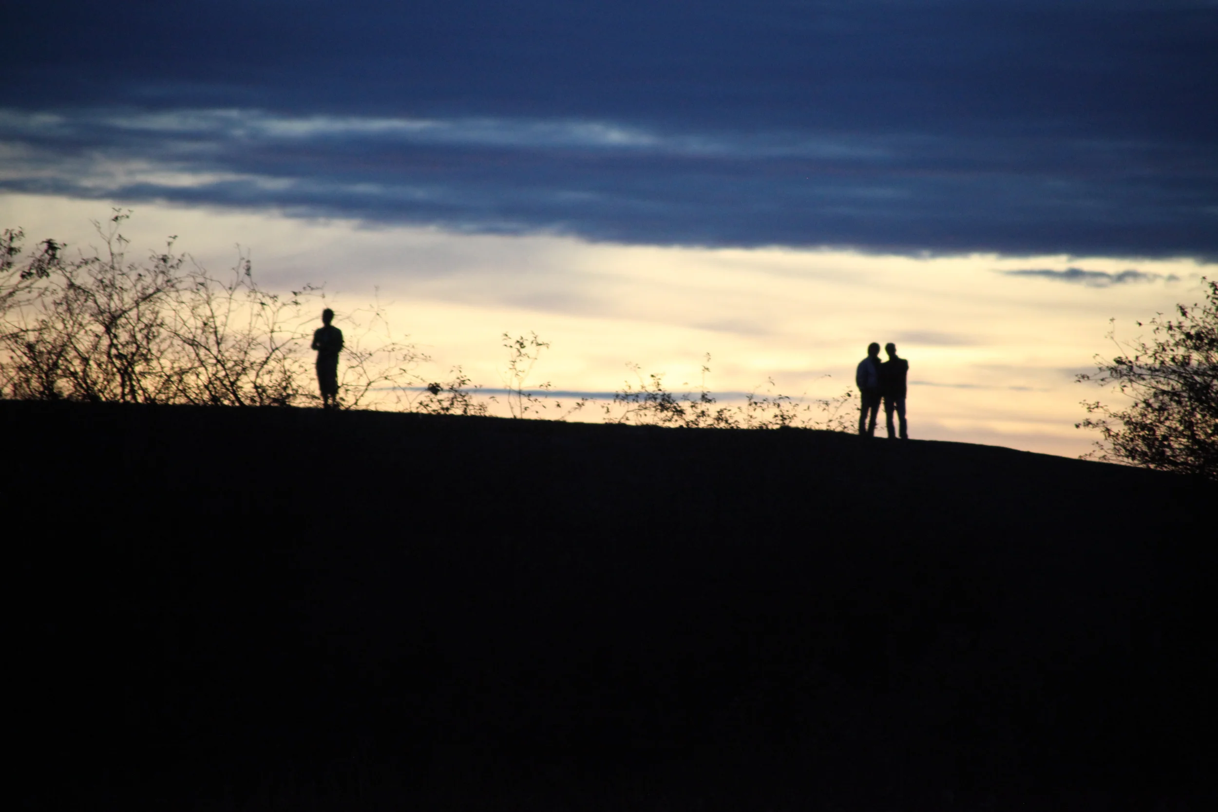 silhouettes on a hill, steveston, british columbia, canada