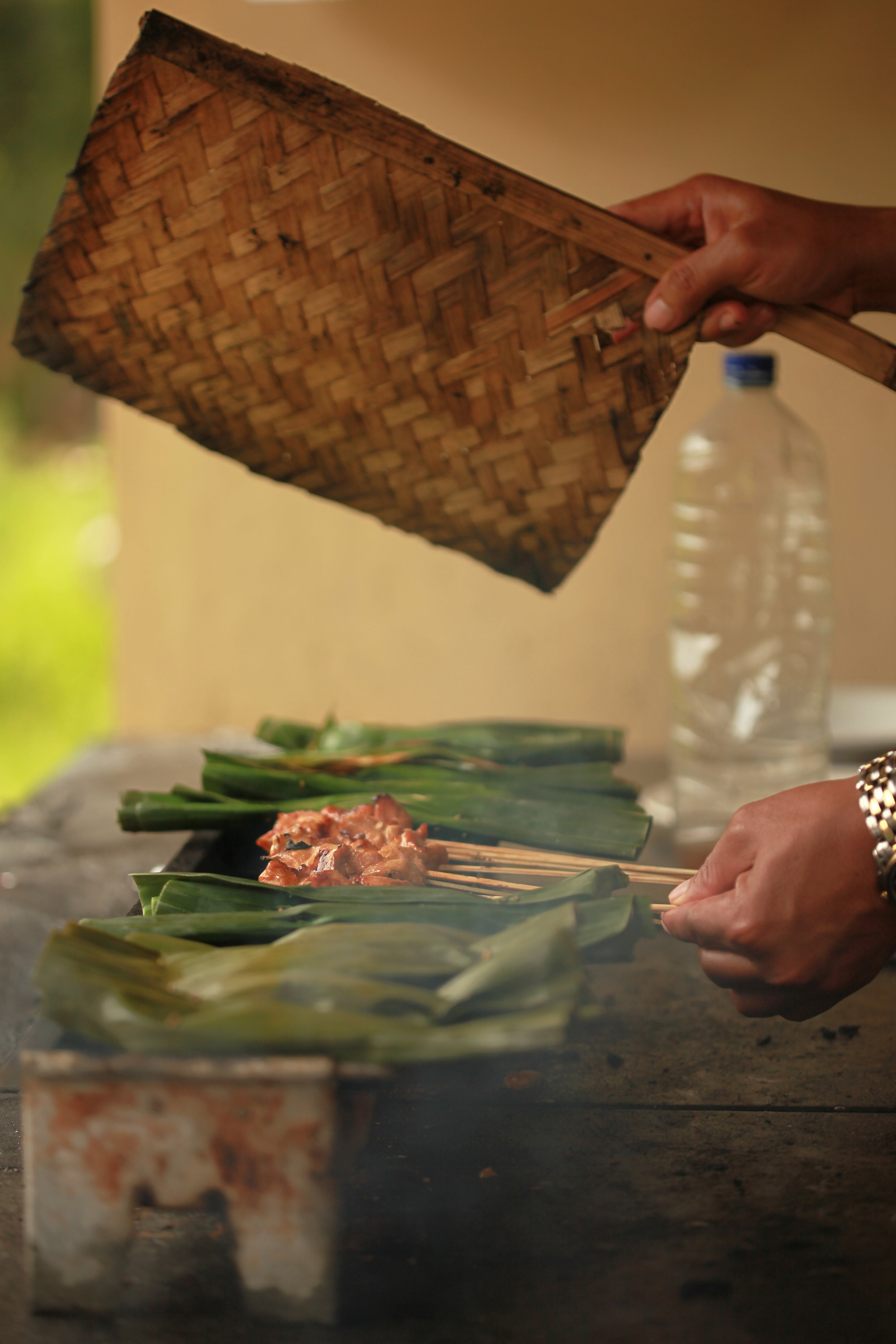 fanning the sate, bali, indonesia