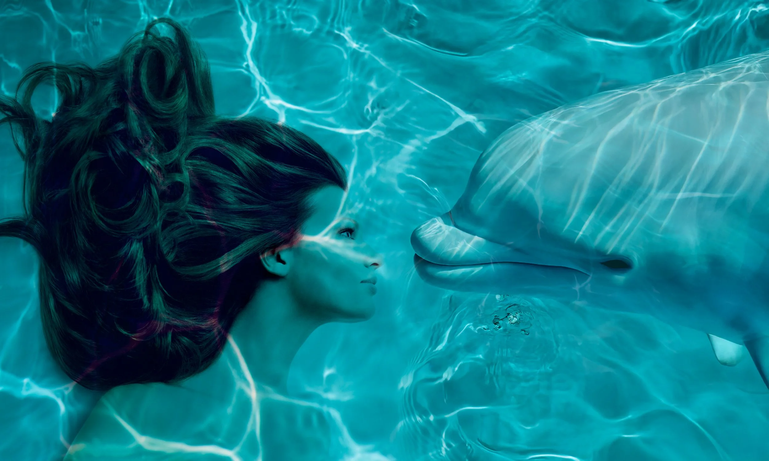 Underwater-Whale-Web.jpg