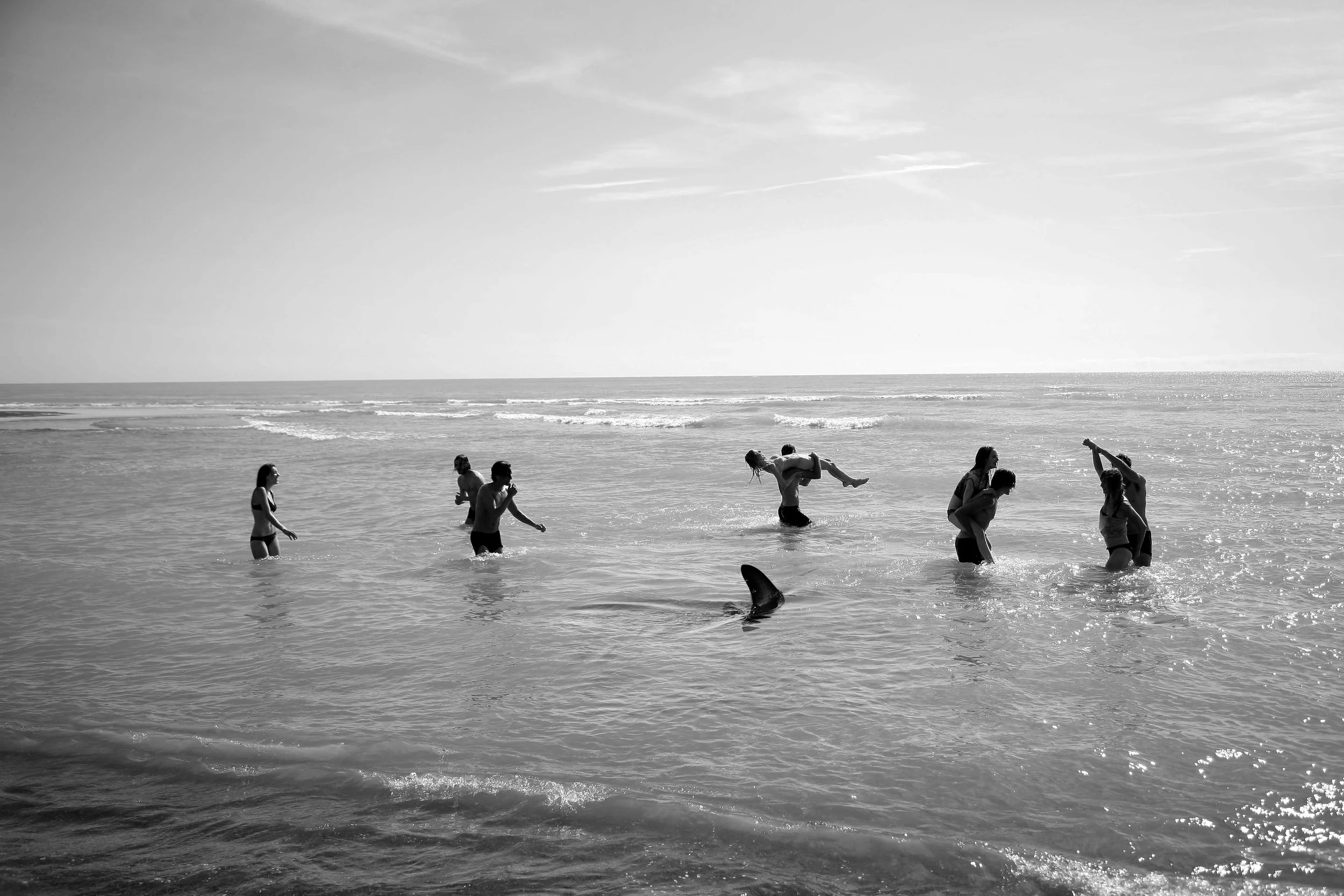 Shark-Beach-1.jpg