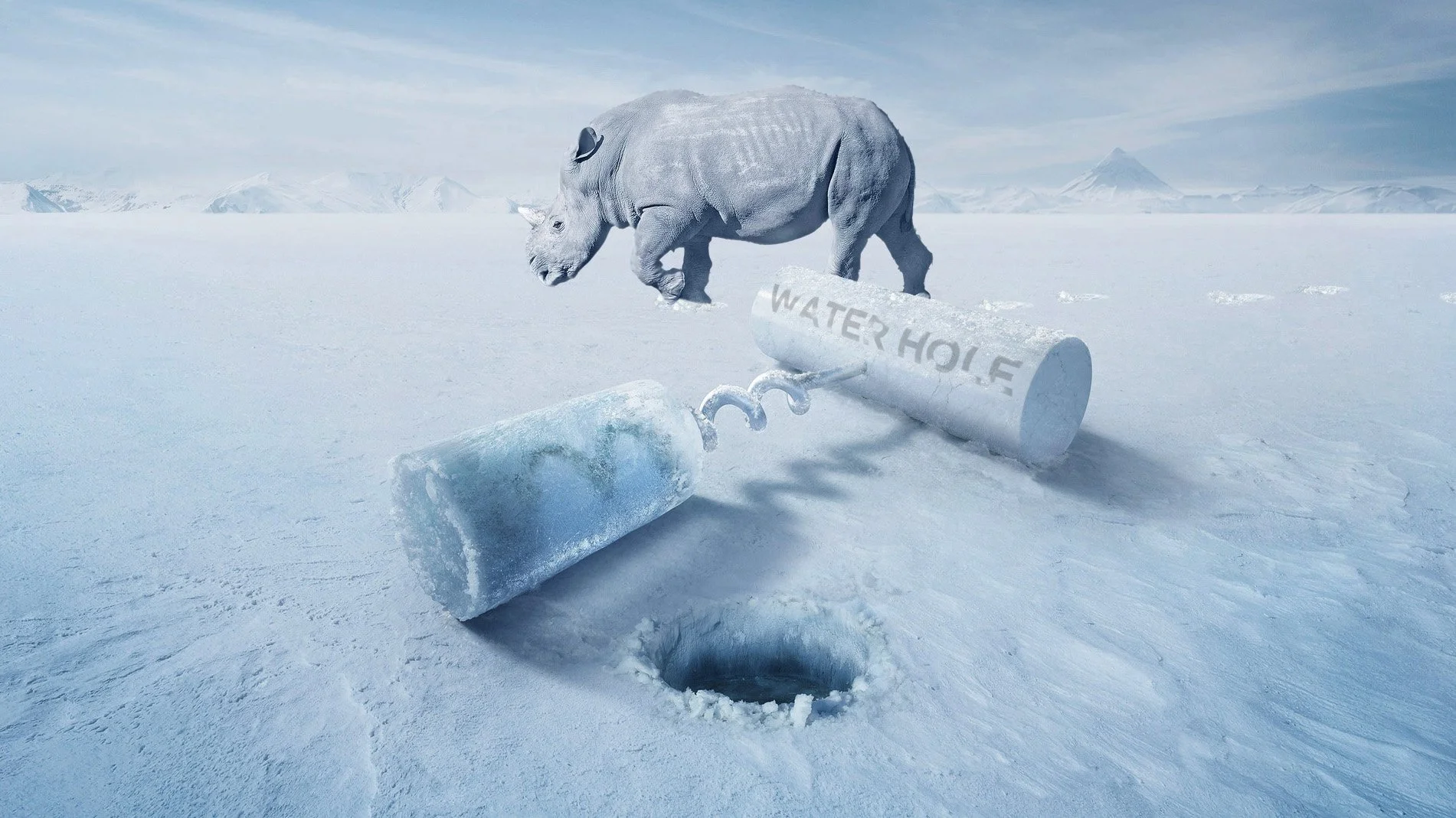 Rhino-Winter-2.jpg