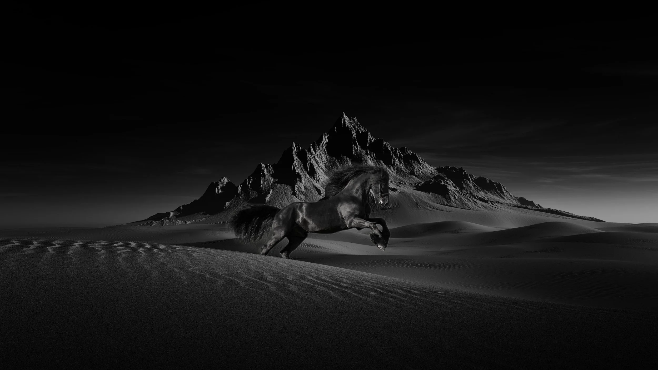 Horse-Desert.jpg