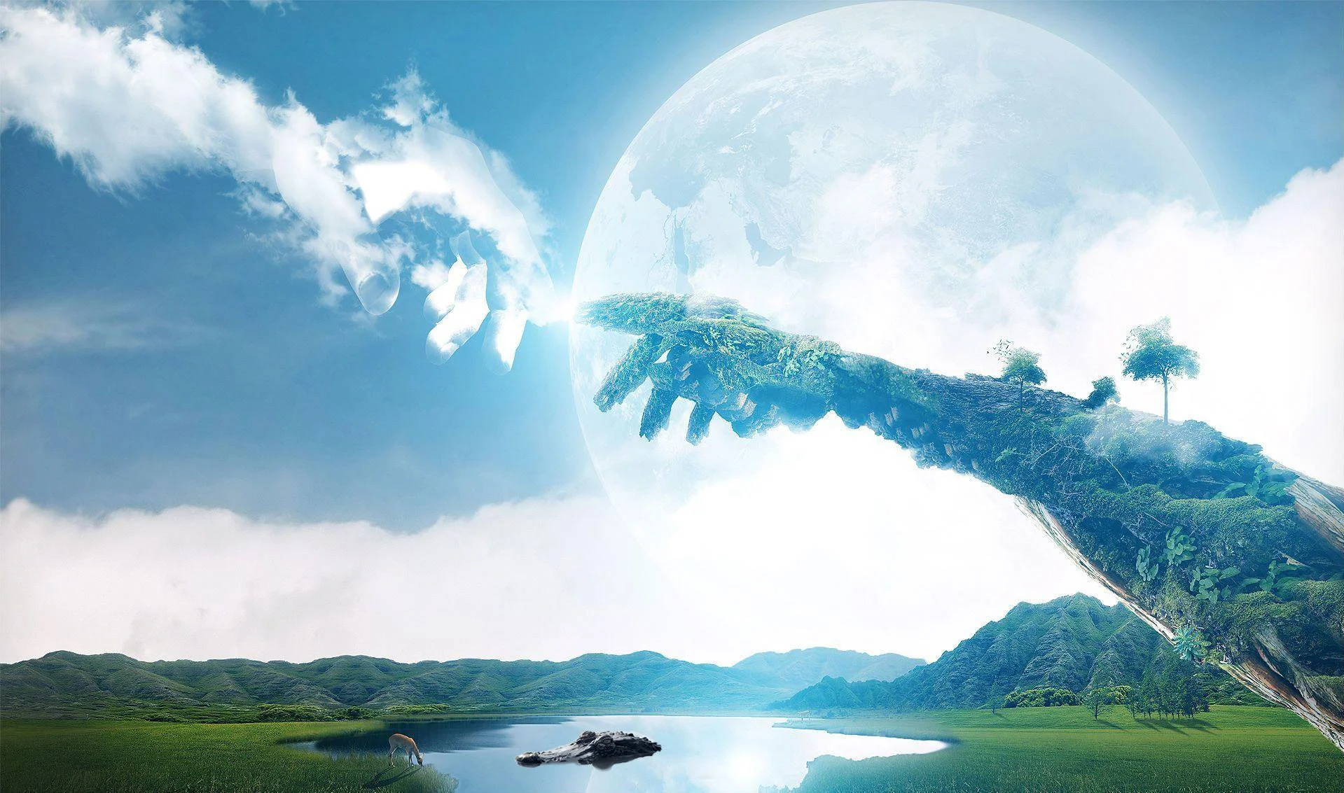 Environment_Aligator.jpg
