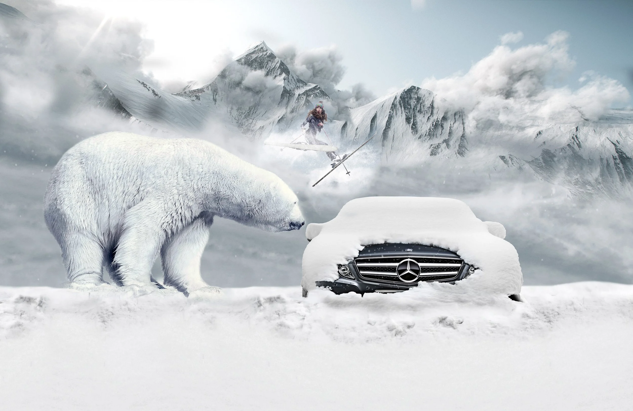 Polar_Bear_Mercedes_Ski.jpg