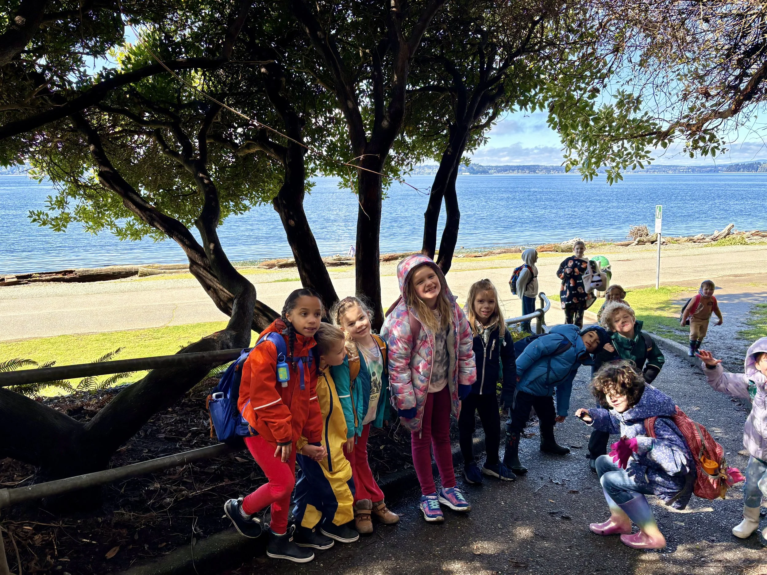 West Seattle Art Nest