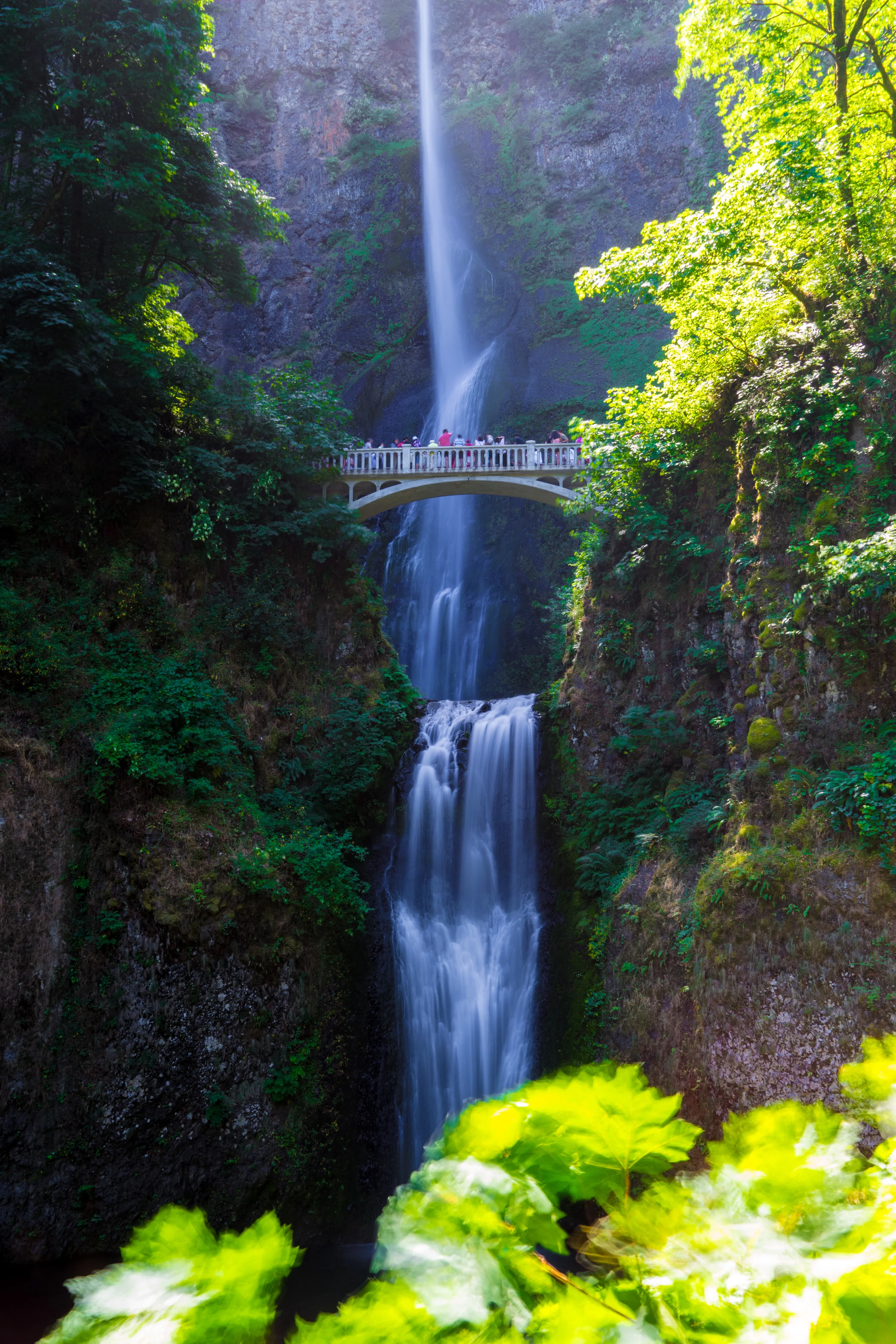 Multnomah Falls is the tallest waterfall in Oregon. The Benson Bridge in the foreground was built in 1914 by a Norwegian-American businessman Simon Benson (Wikipedia).
