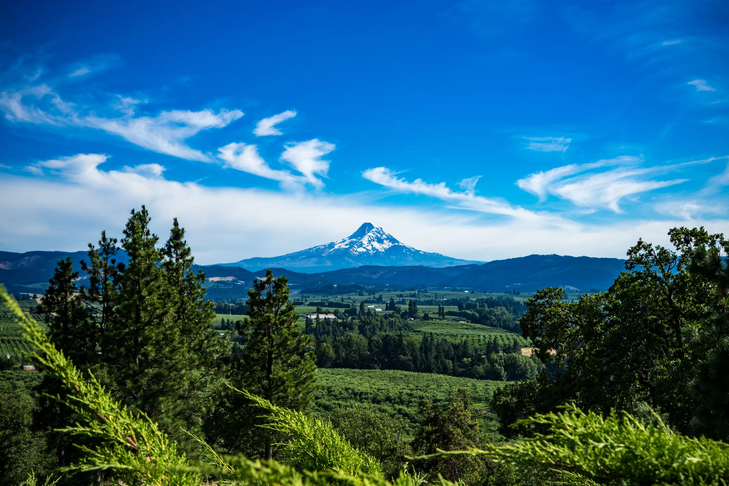 A view of Mount Hood from the panorama point just outside of Hood River.