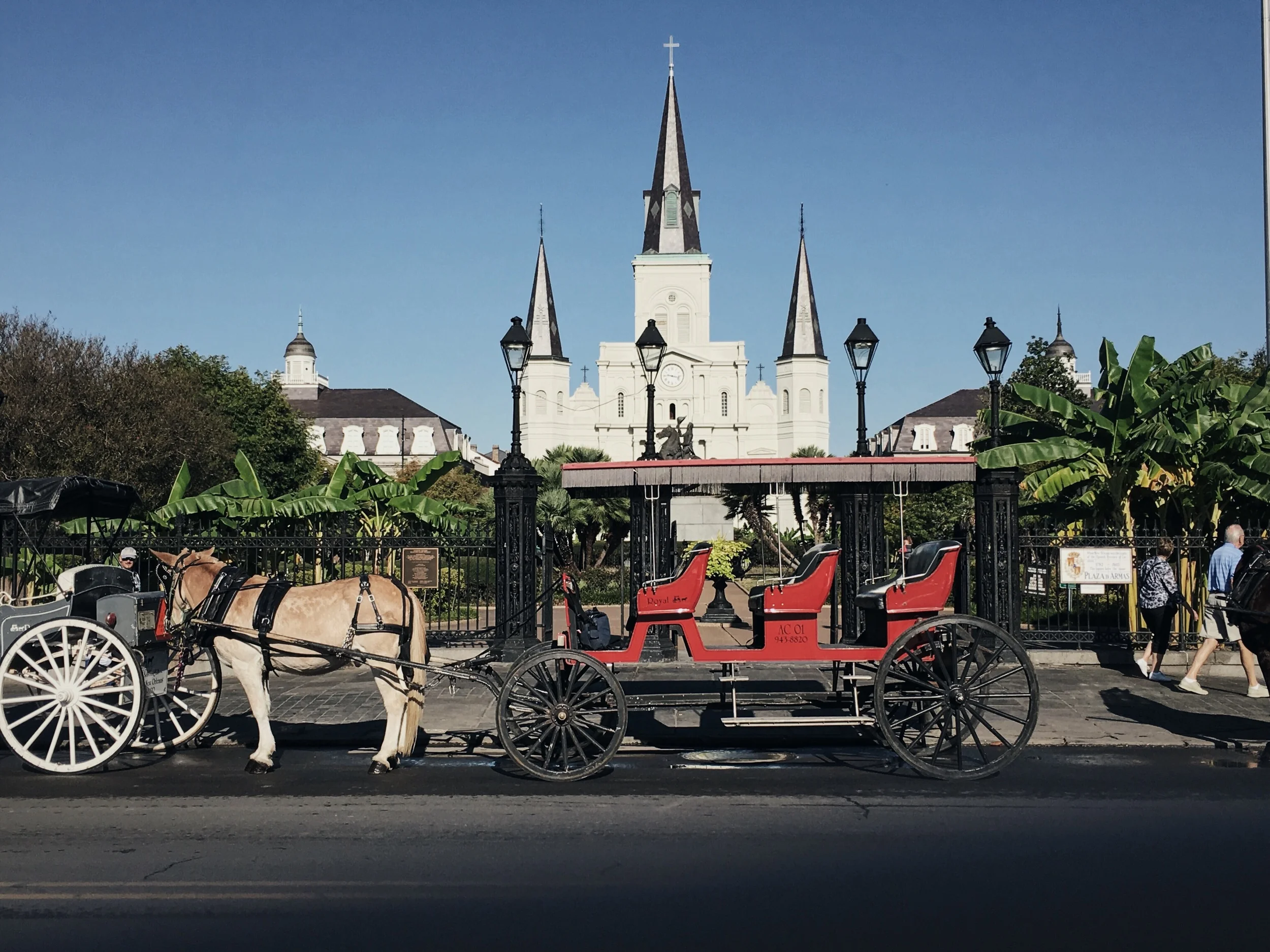 St. Louis Cathedral is one of the oldest Catholic church in the country. Tourists can also jump on the horse carriage and sight-see around the area.