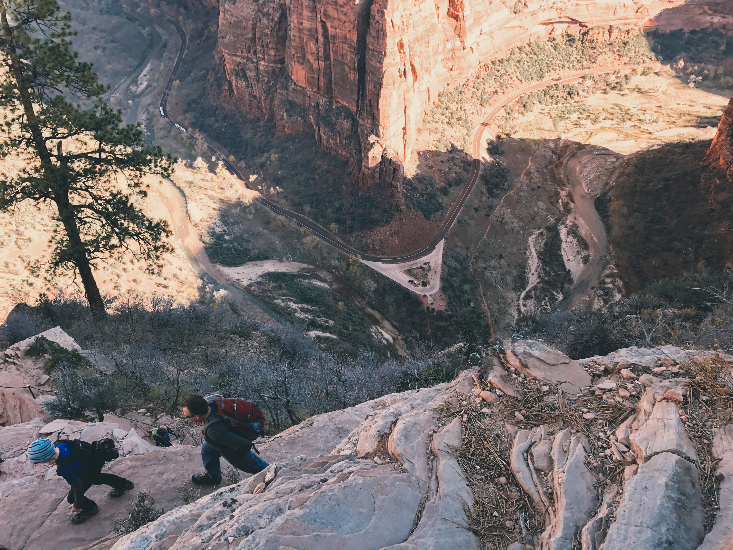 Look how close we were to the edge of the canyon! The size of the Zion Canyon shuttle bus will give you a sense of how high up we were.