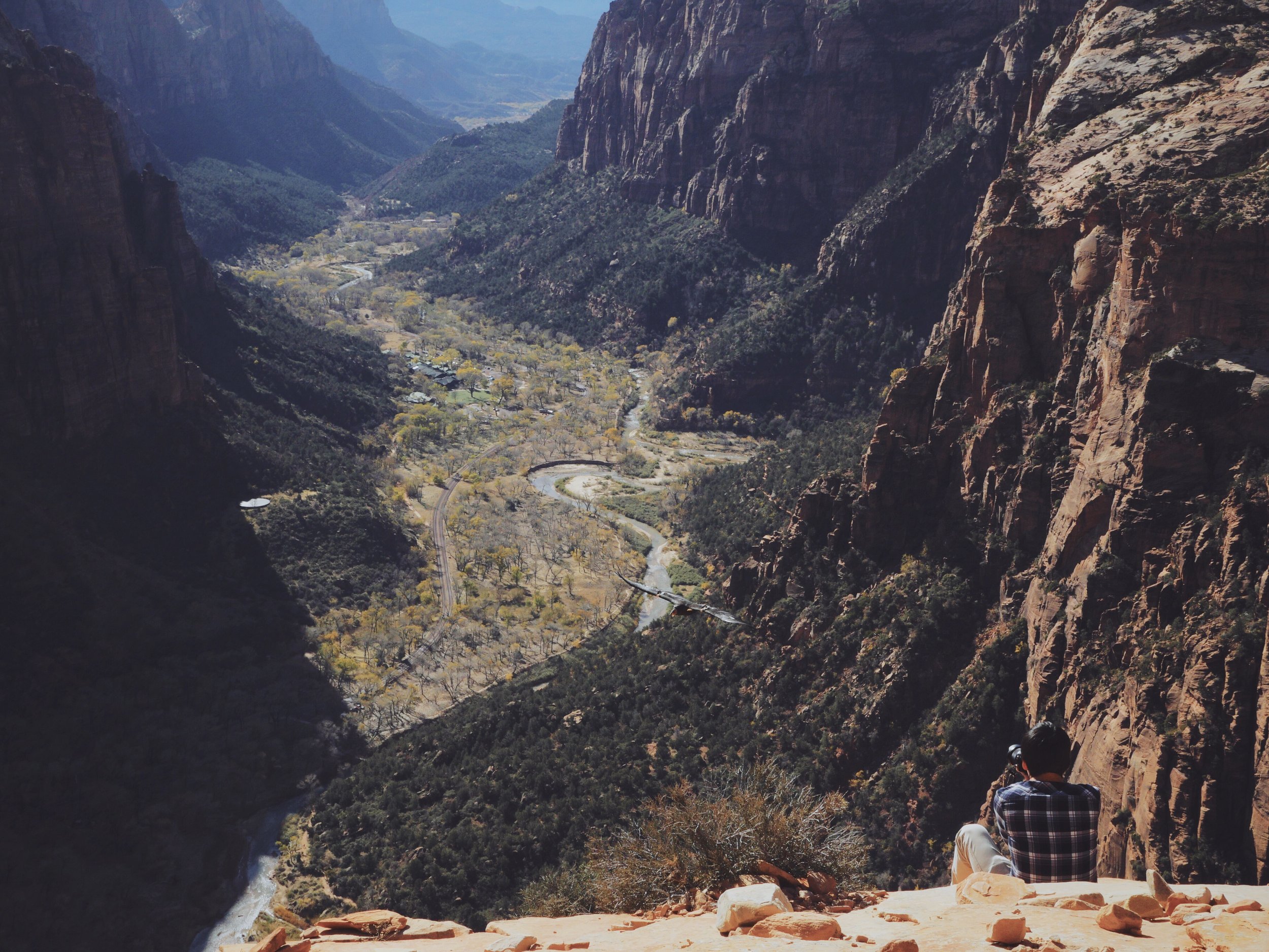  Notice the California Condor in the middle of the photo? We got to see it up close! (Photo Credit: Pat Kitsanayothin) 