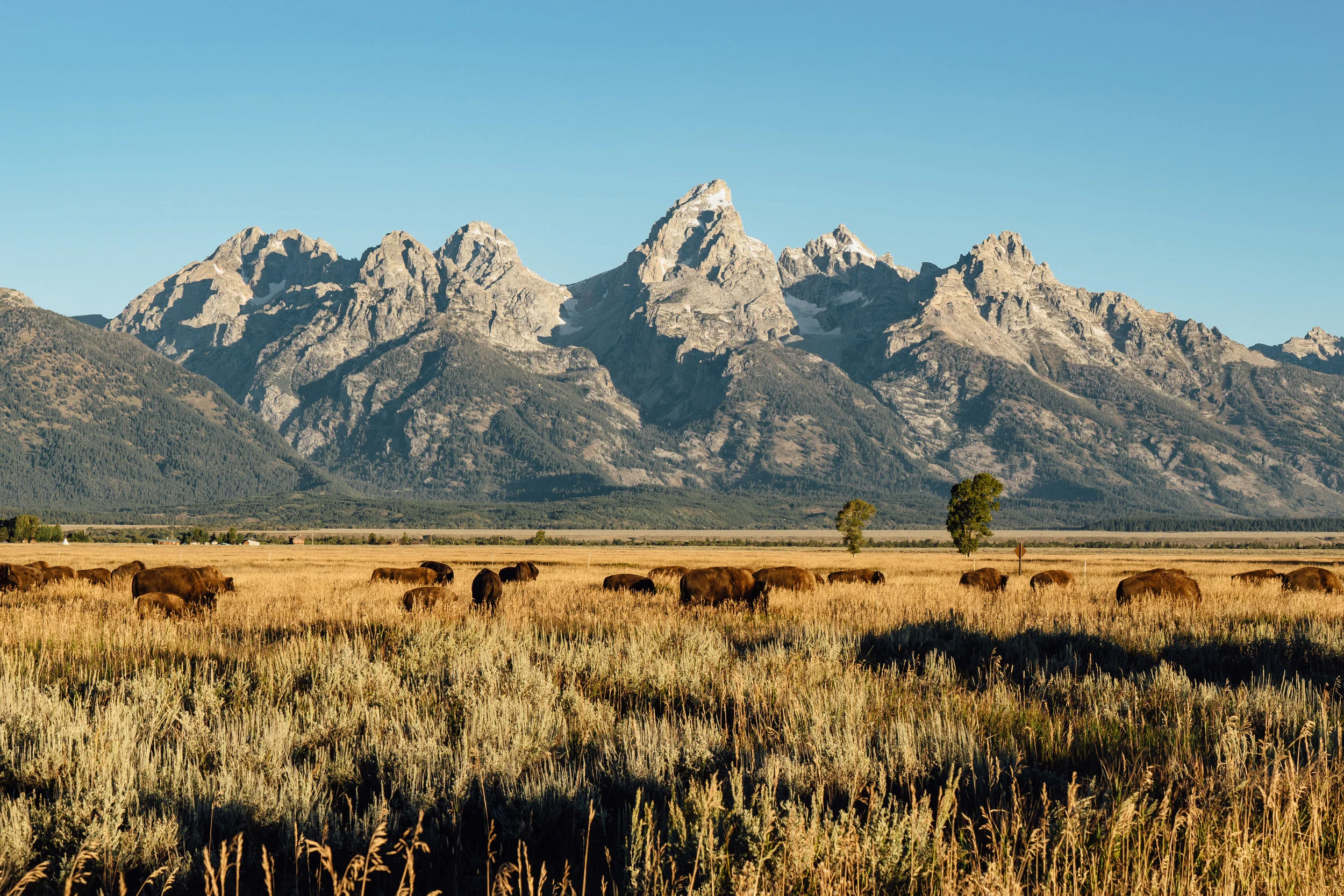 This feels like a scene that you’d see in a classic western film.