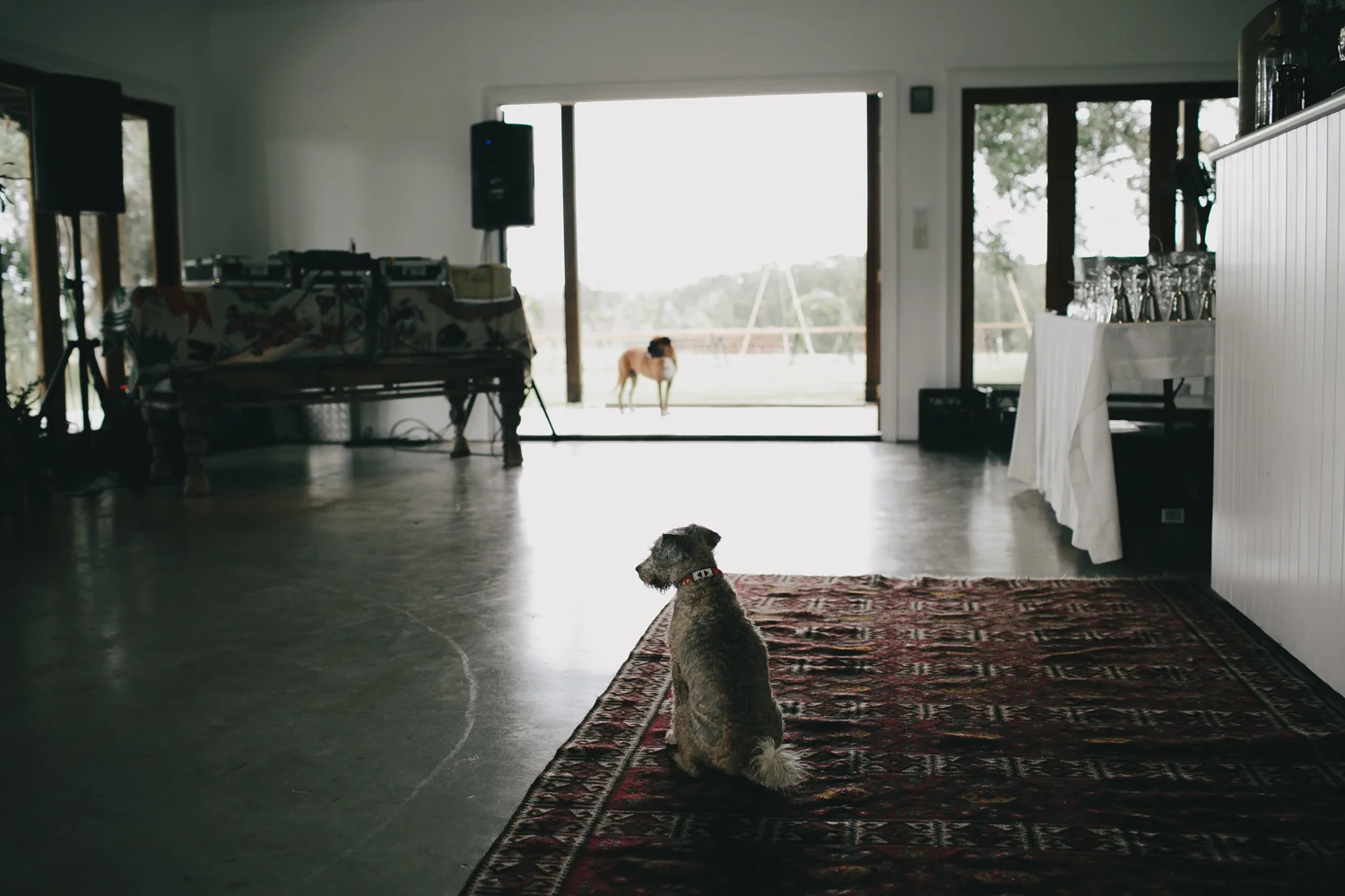 005_Chloe+Henry_blog.jpg