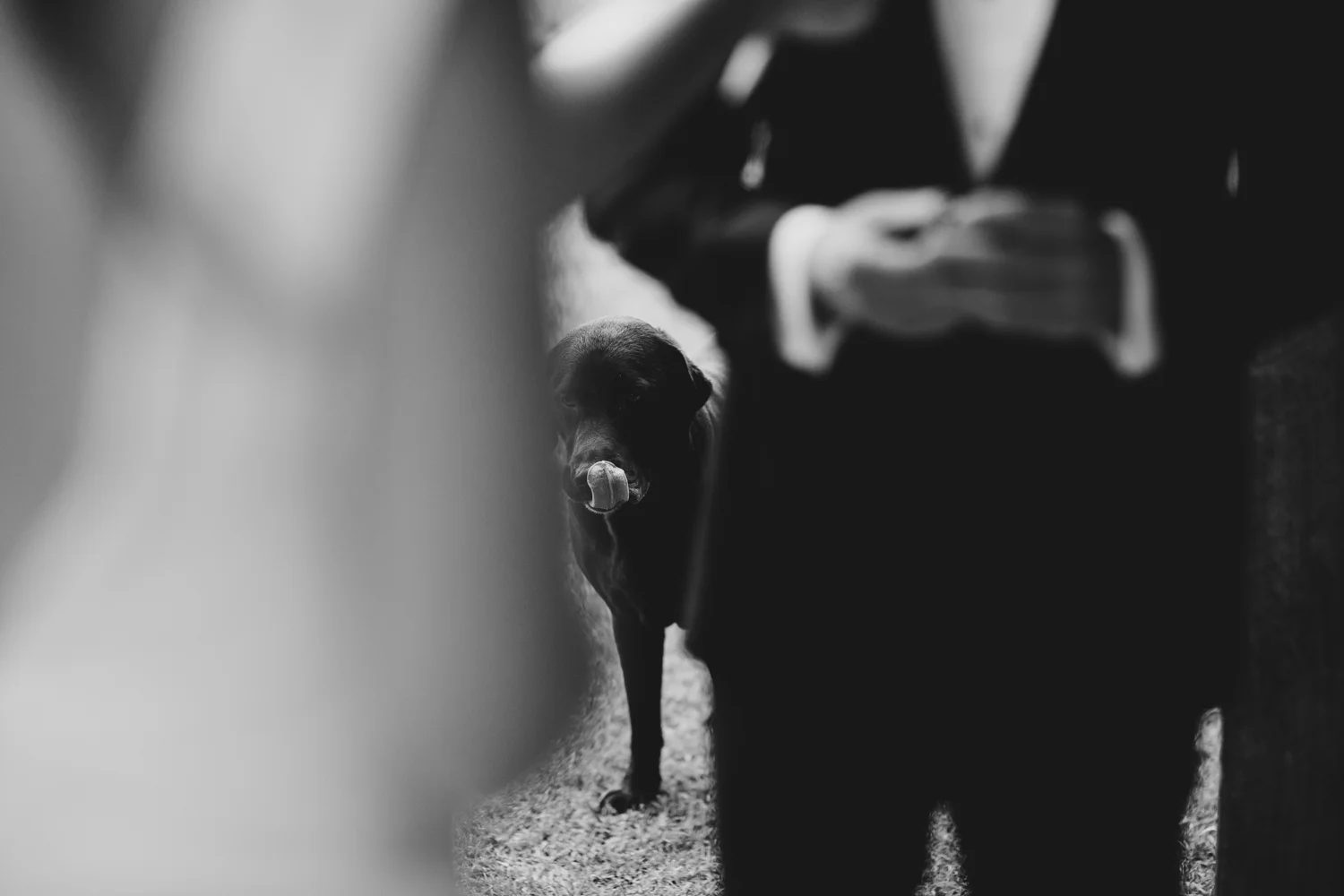 077_Chloe+Henry_blog.jpg