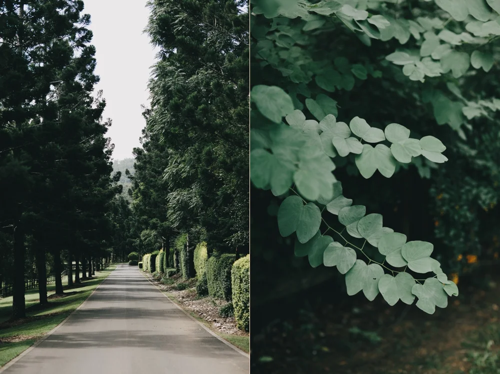 003_Molly+Sam_blog.jpg