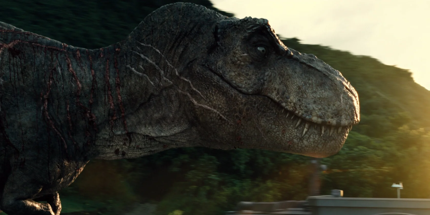 T-rex Model