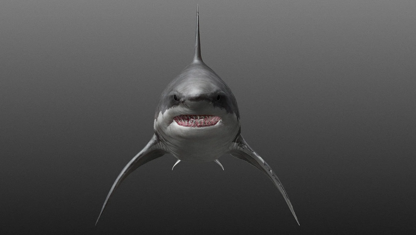 Megalodon