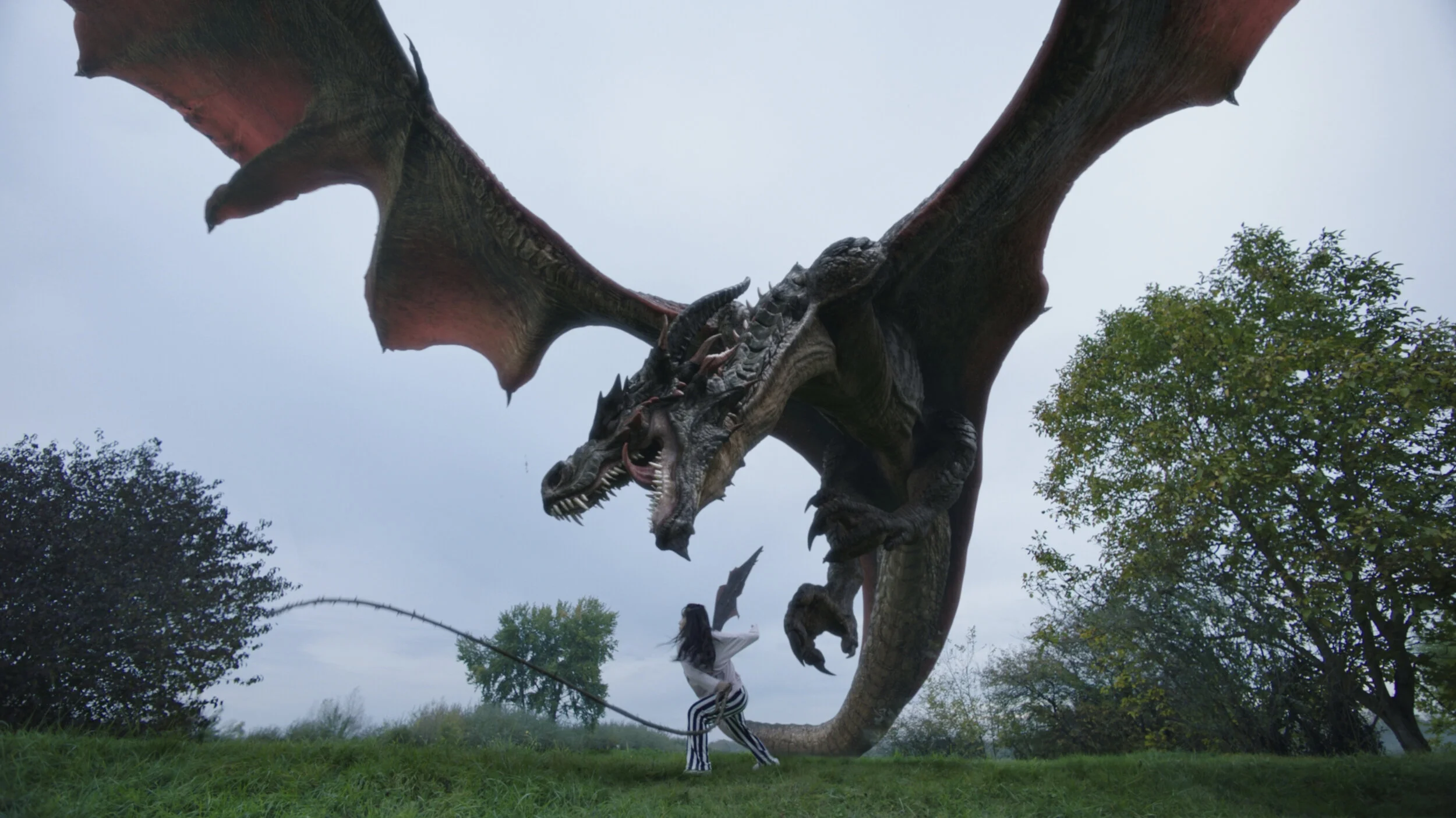 Dragon6.jpg