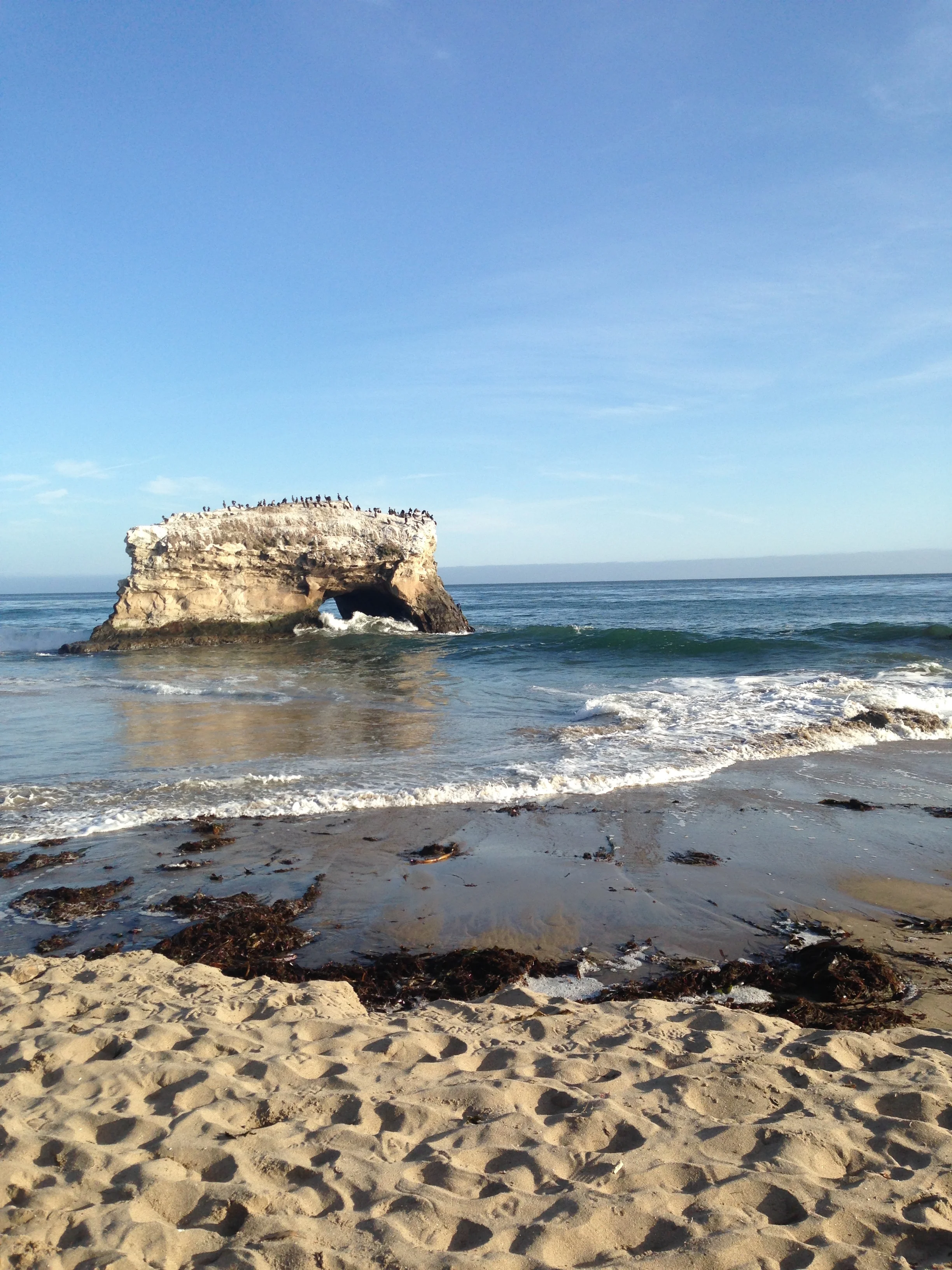 AP Natural Bridges Photo.jpg