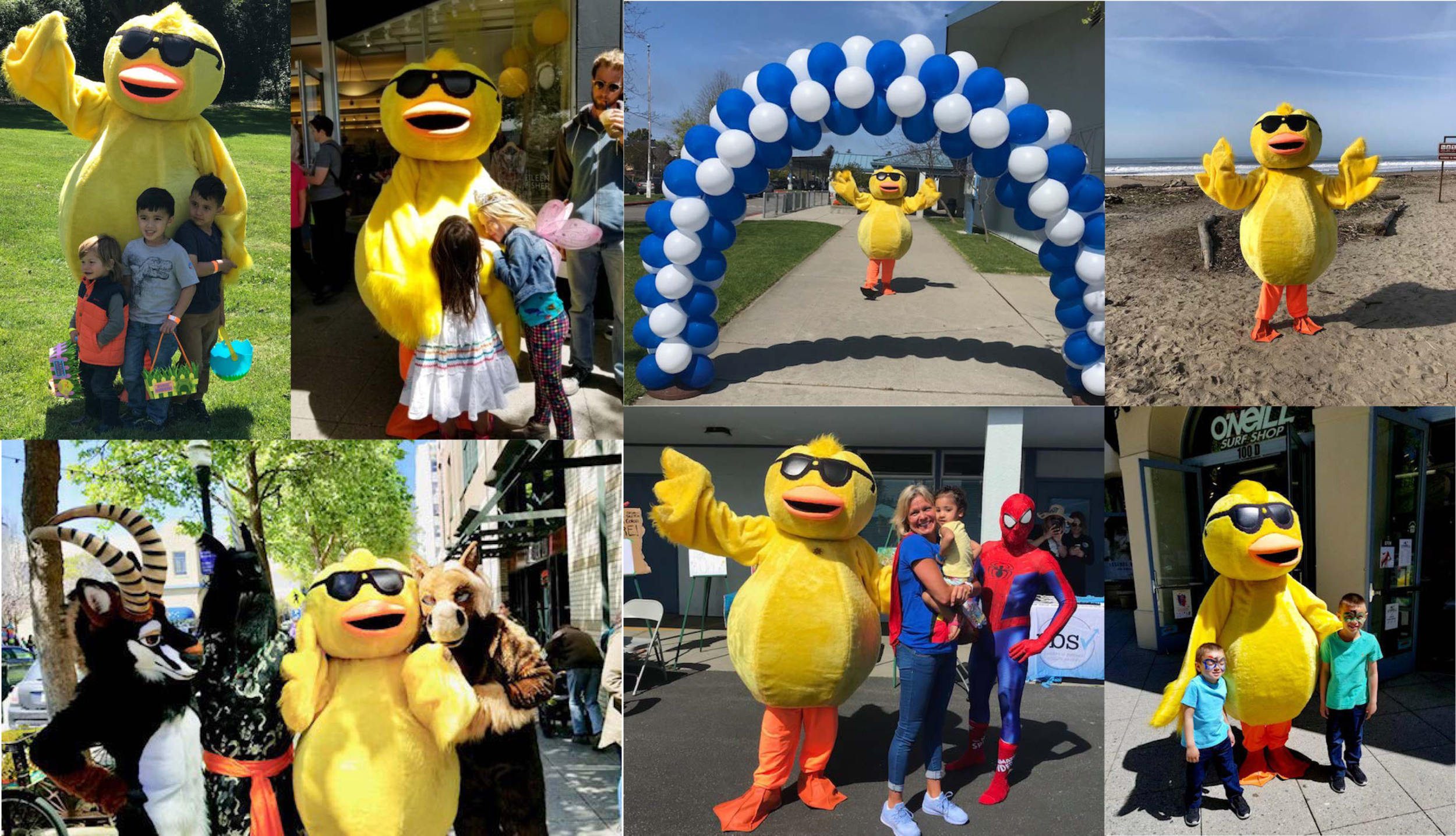 QuakyBannerWebsiteA.png