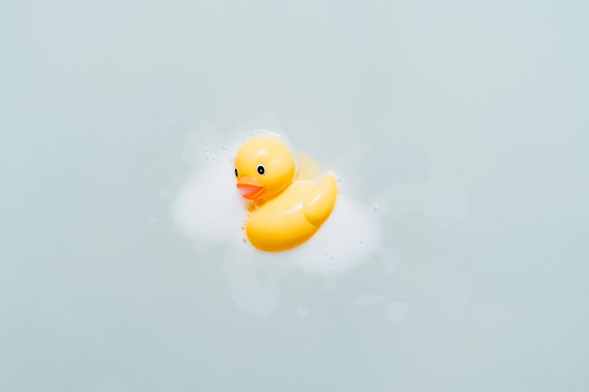 unsplash-image-dYXMHFb9pJw.jpg