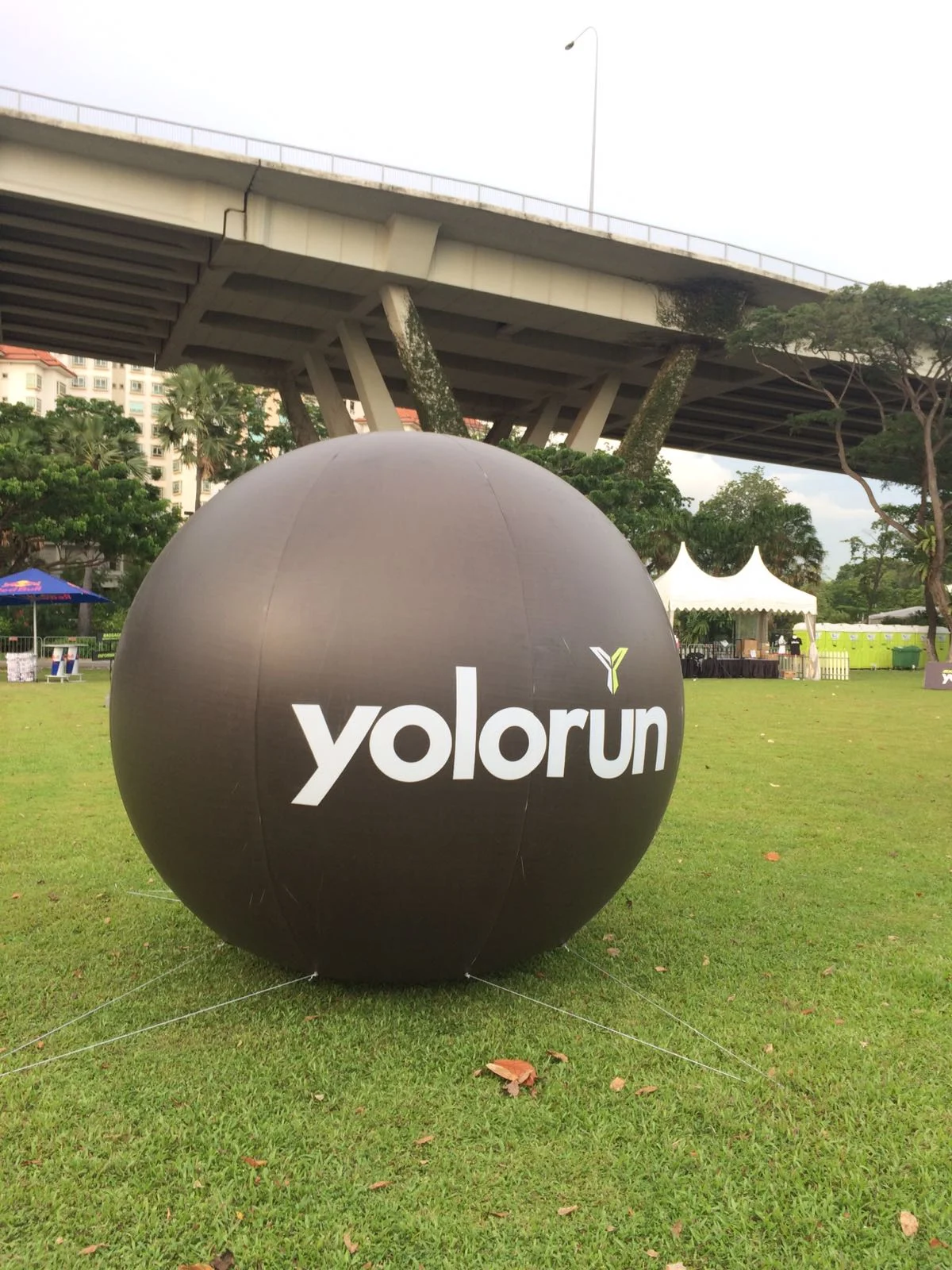 Yolo Run - October 2016