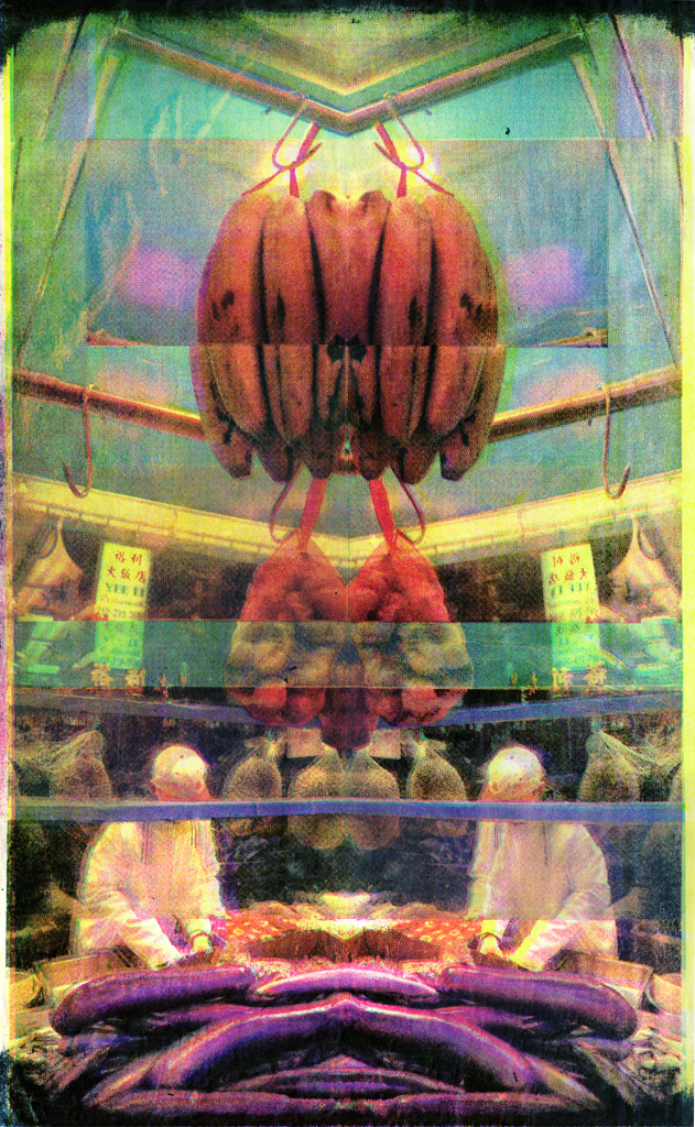 Corpus
