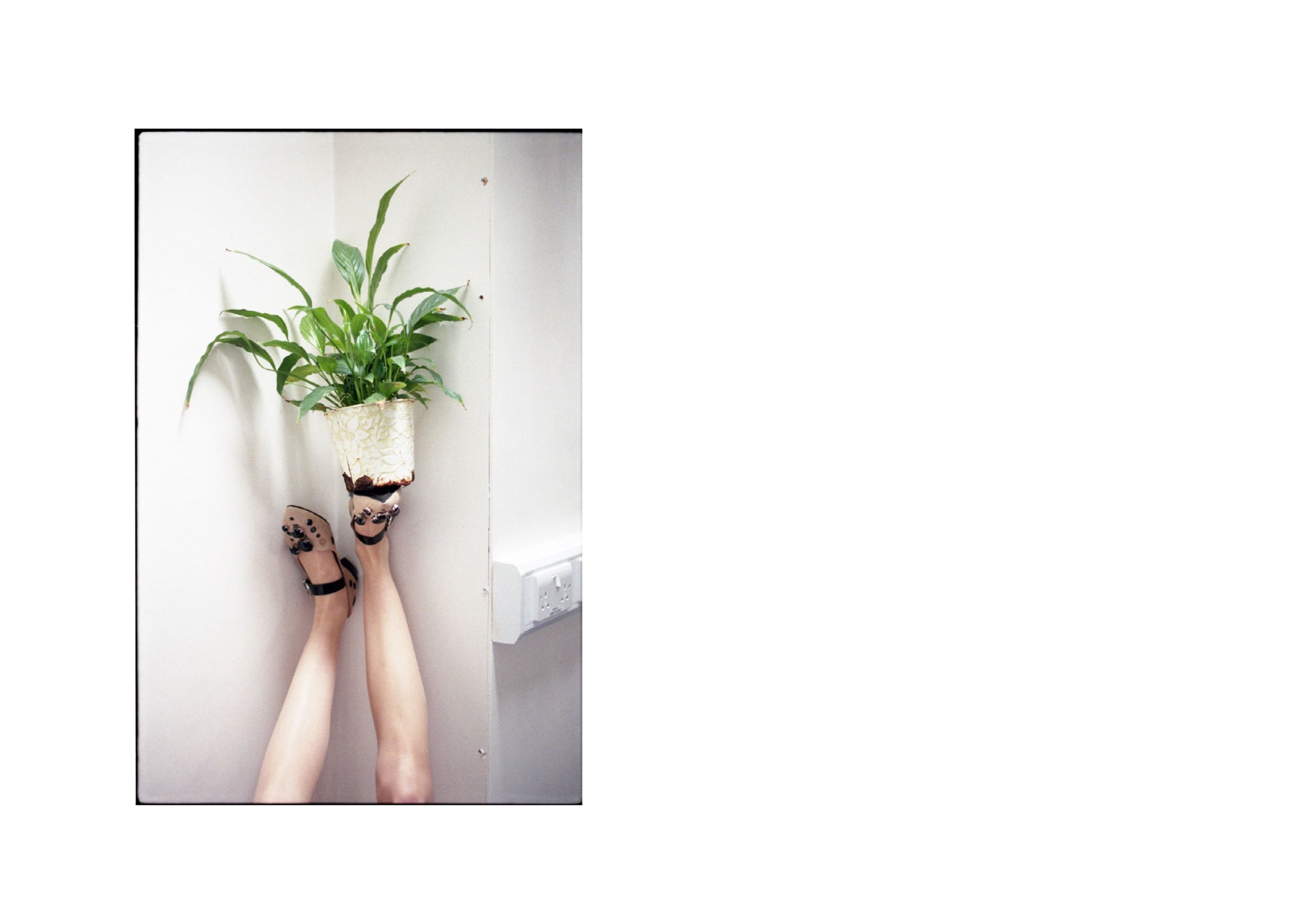 shoes TOGA PULLA