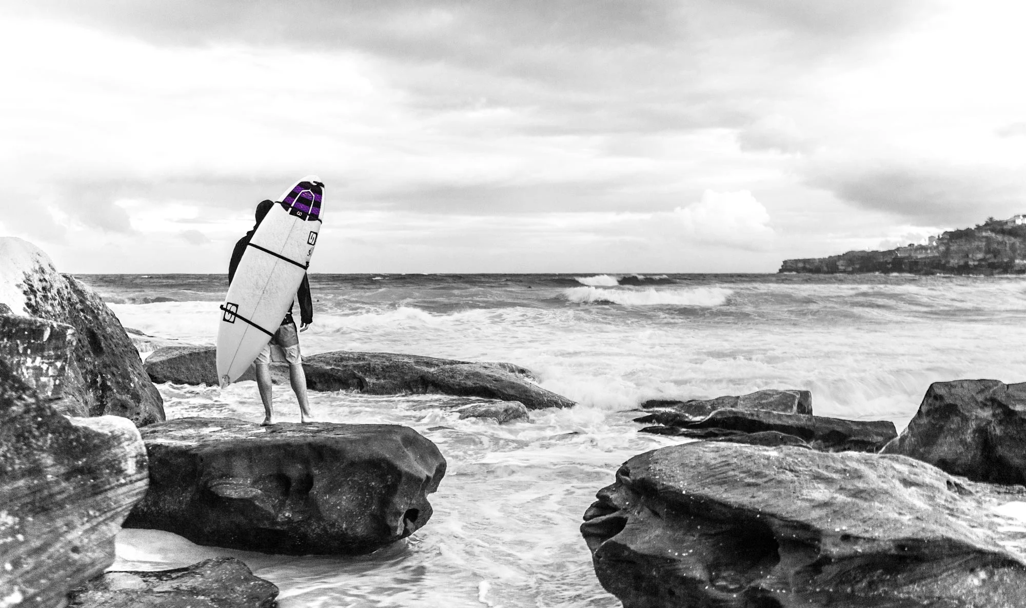Salty-Beast-Banner-Fixed_flattened_crop2.jpg