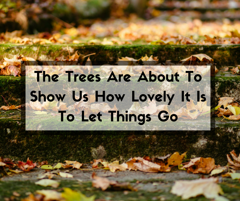 The Trees Are About To Show Us How Lovely It Is To Let Things Go.png